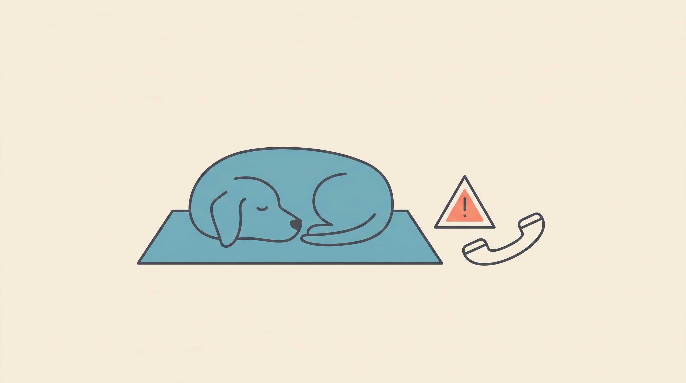 Diabetic Ketoacidosis (DKA): The Emergency and Its Warning Signs