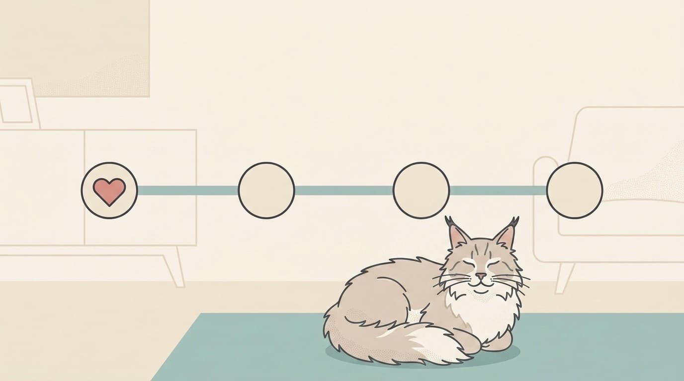 Feline HCM Explained: The Thickened Heart, and Why Cats Hide It