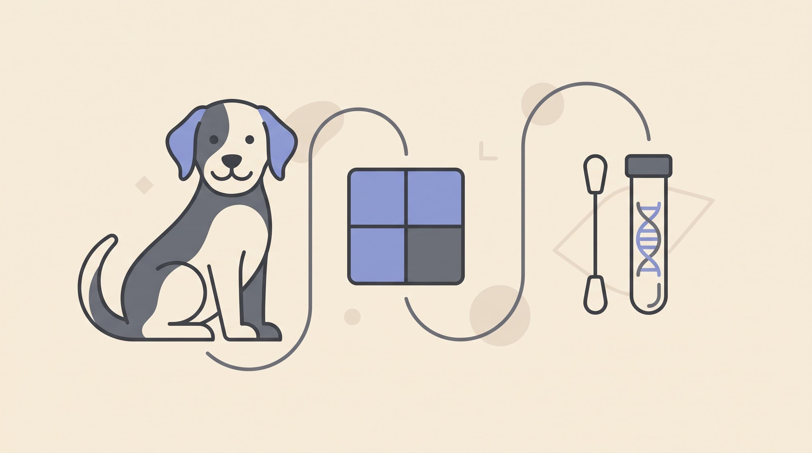 PRA and Your Breed: DNA Testing and What It Means