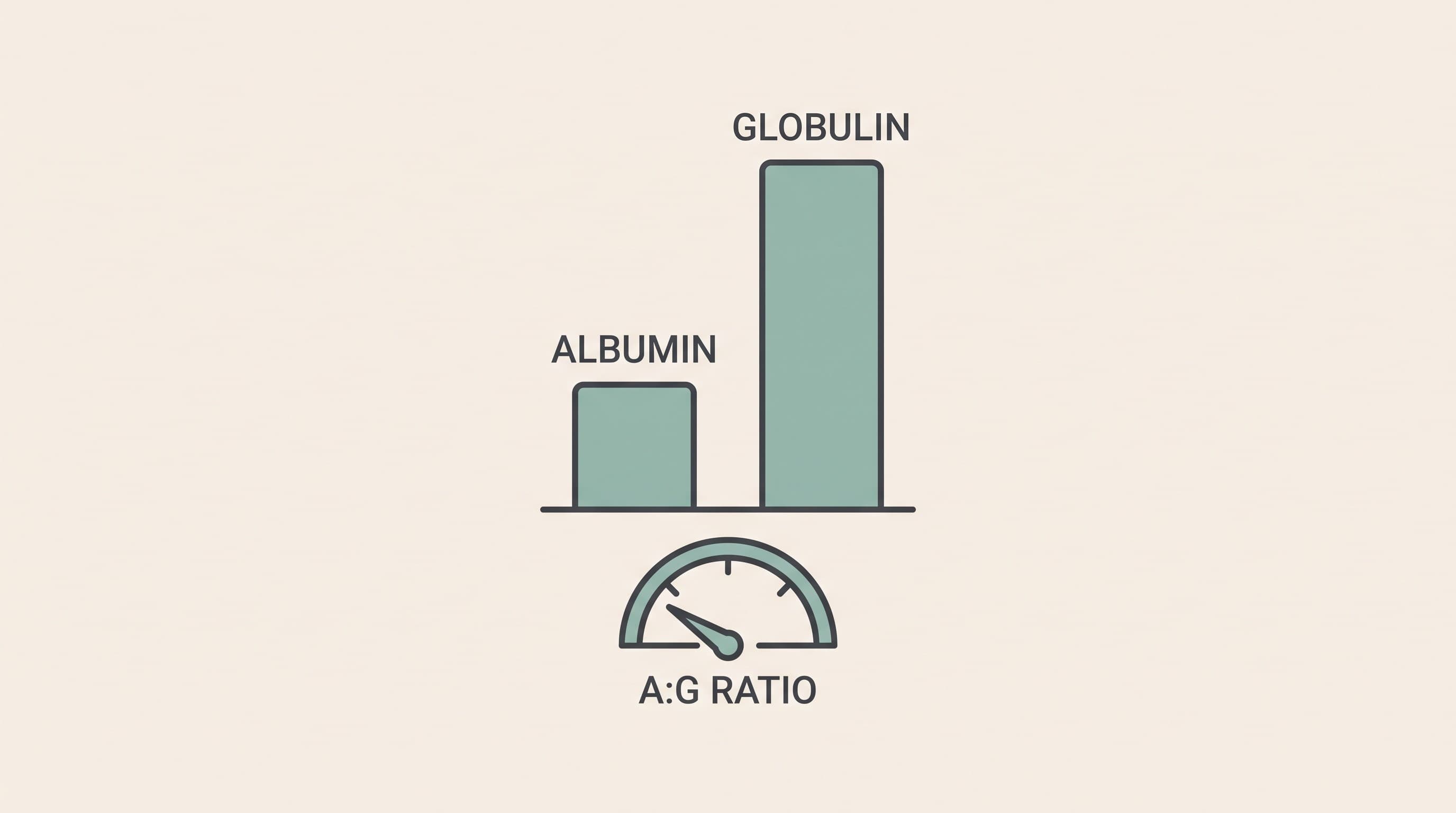 Reading the bloodwork: A:G ratio, globulins, PCV
