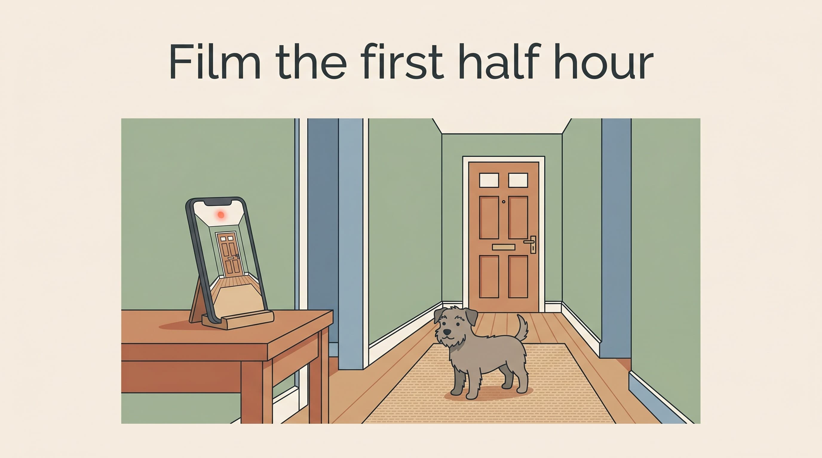 The camera test: what your dog actually does when you leave