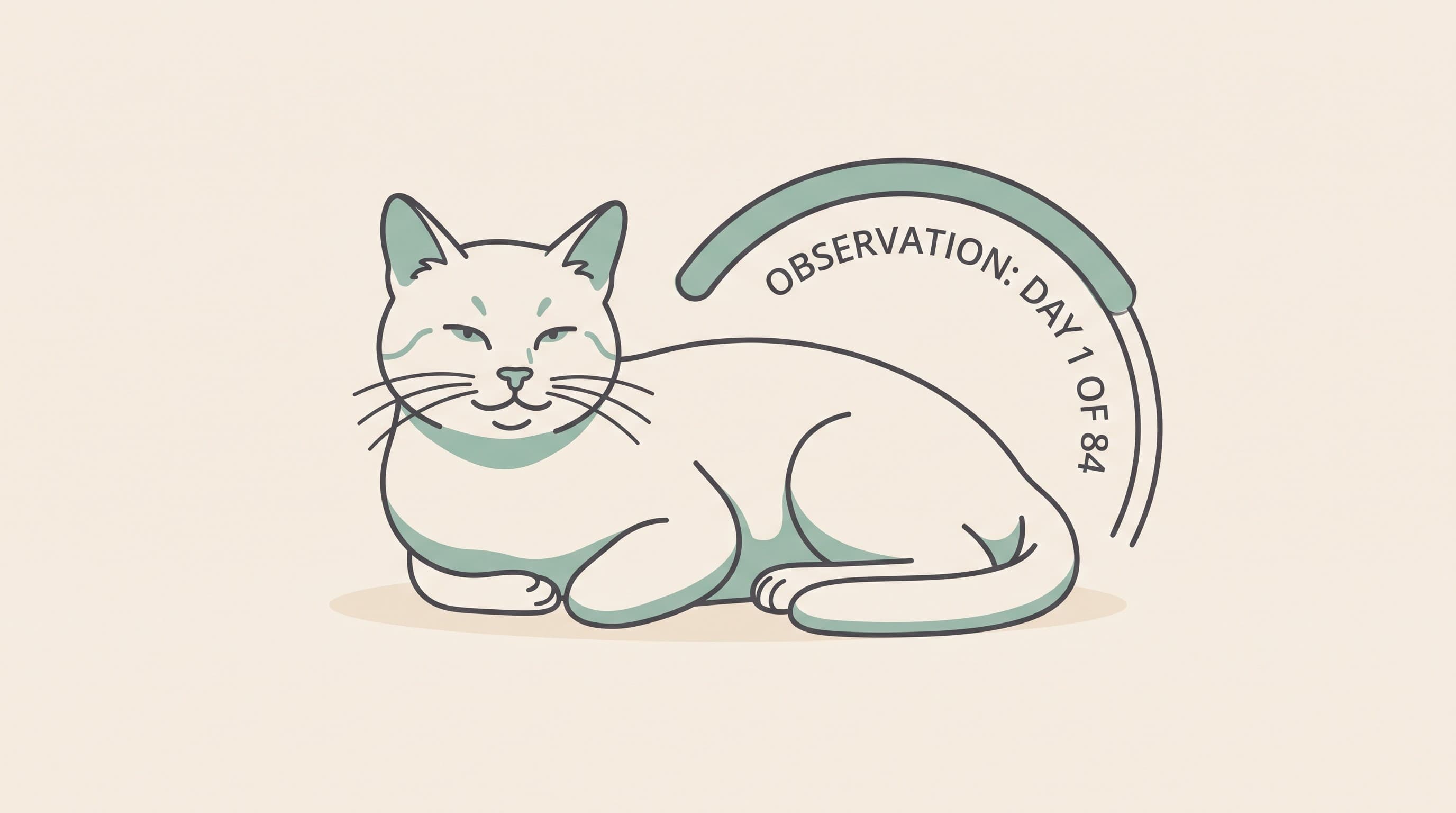 The 84-day observation window