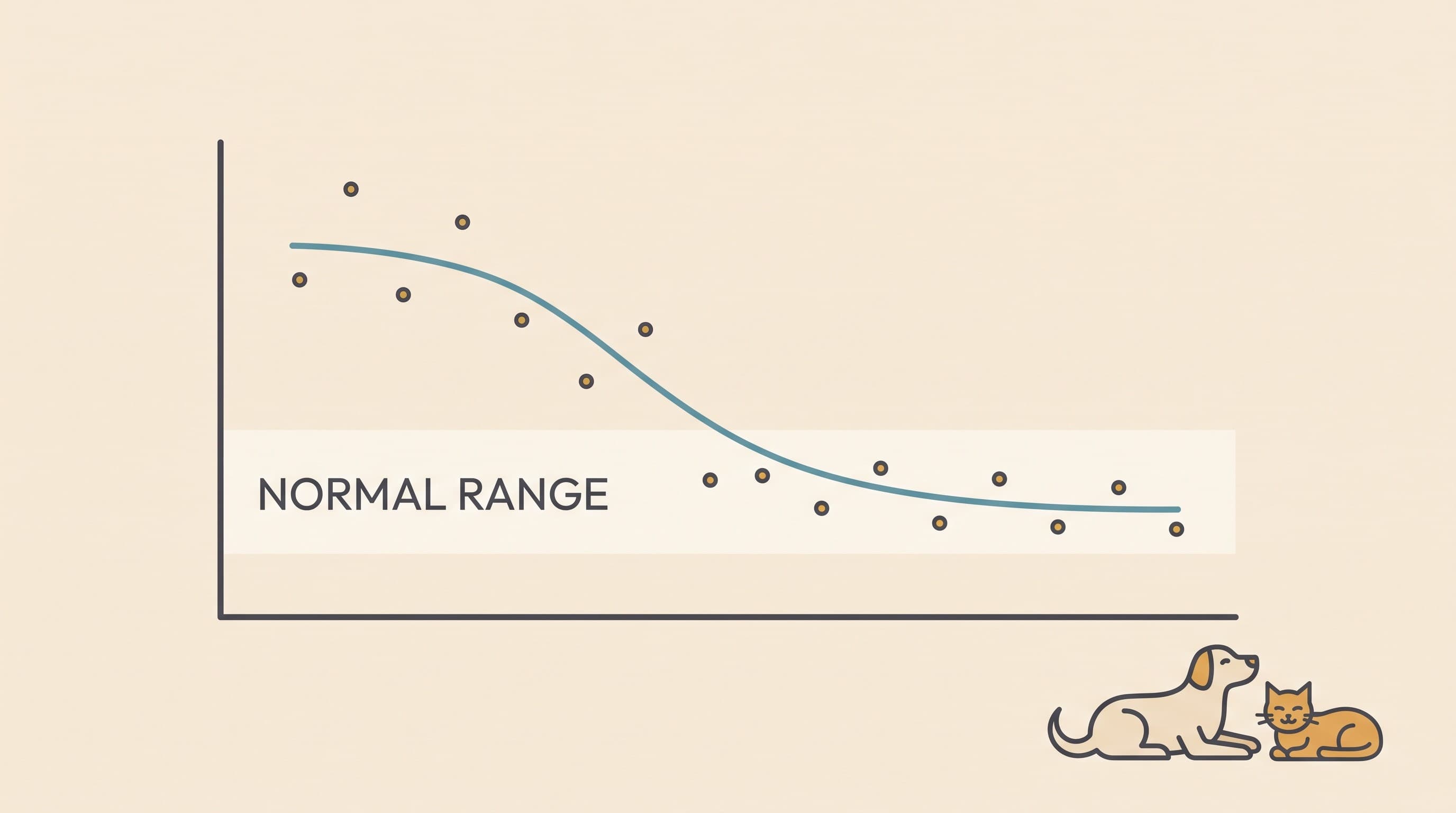 Tracking liver values over time (and why the trend beats the number)