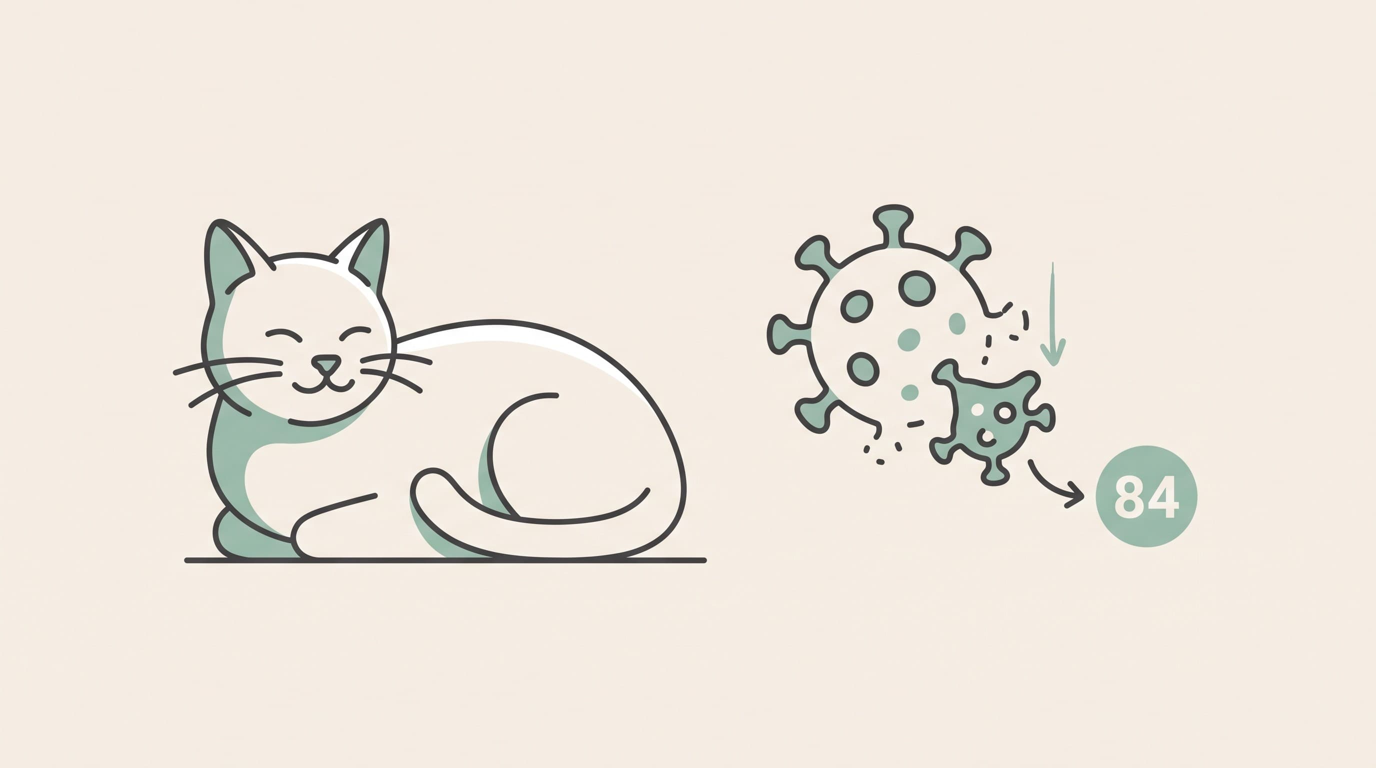 What FIP is: the coronavirus connection