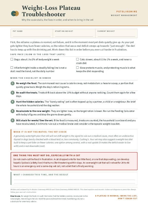 First-page preview of Weight-Loss Plateau Troubleshooter
