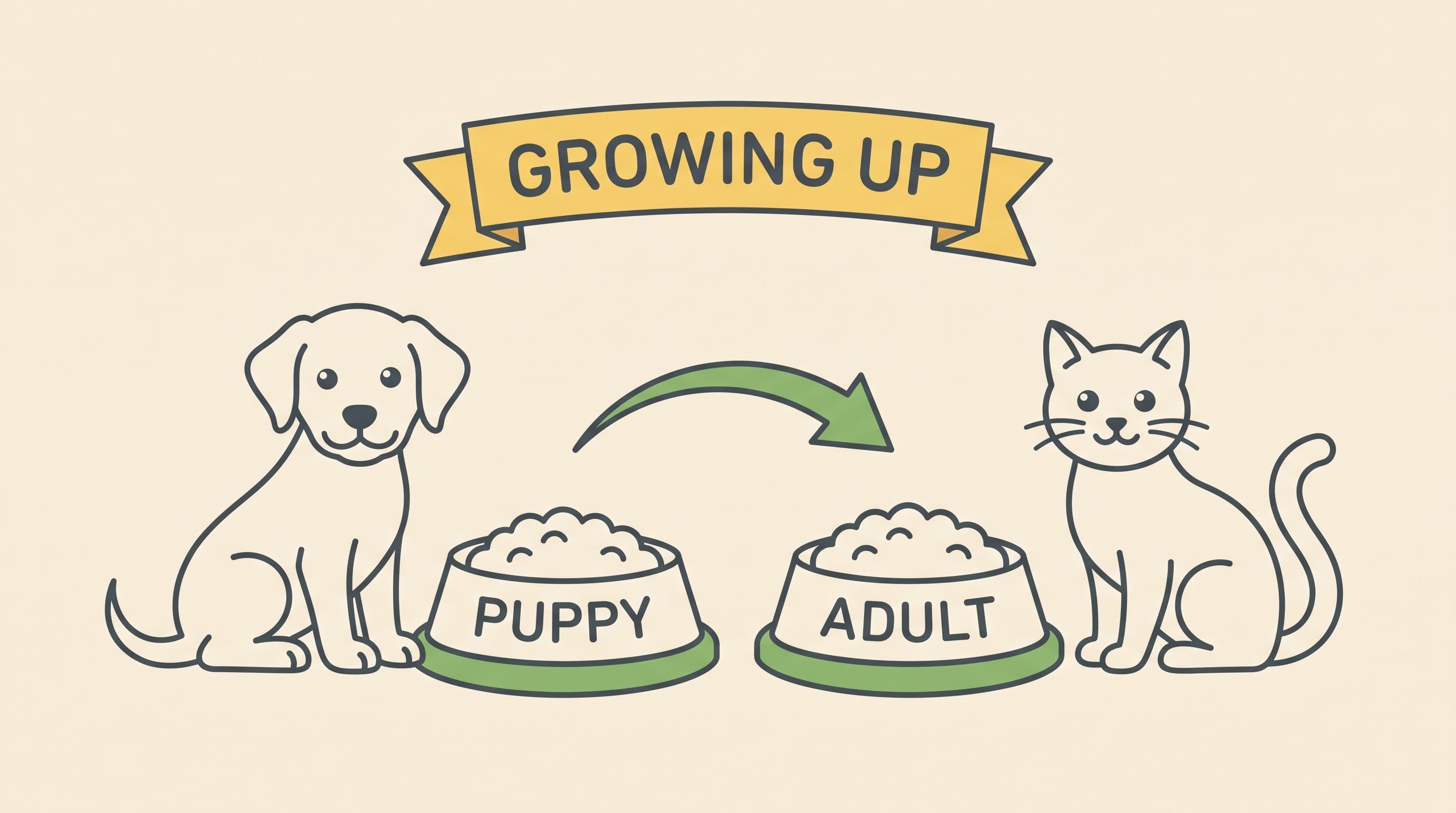 The transition to adult food and adult care