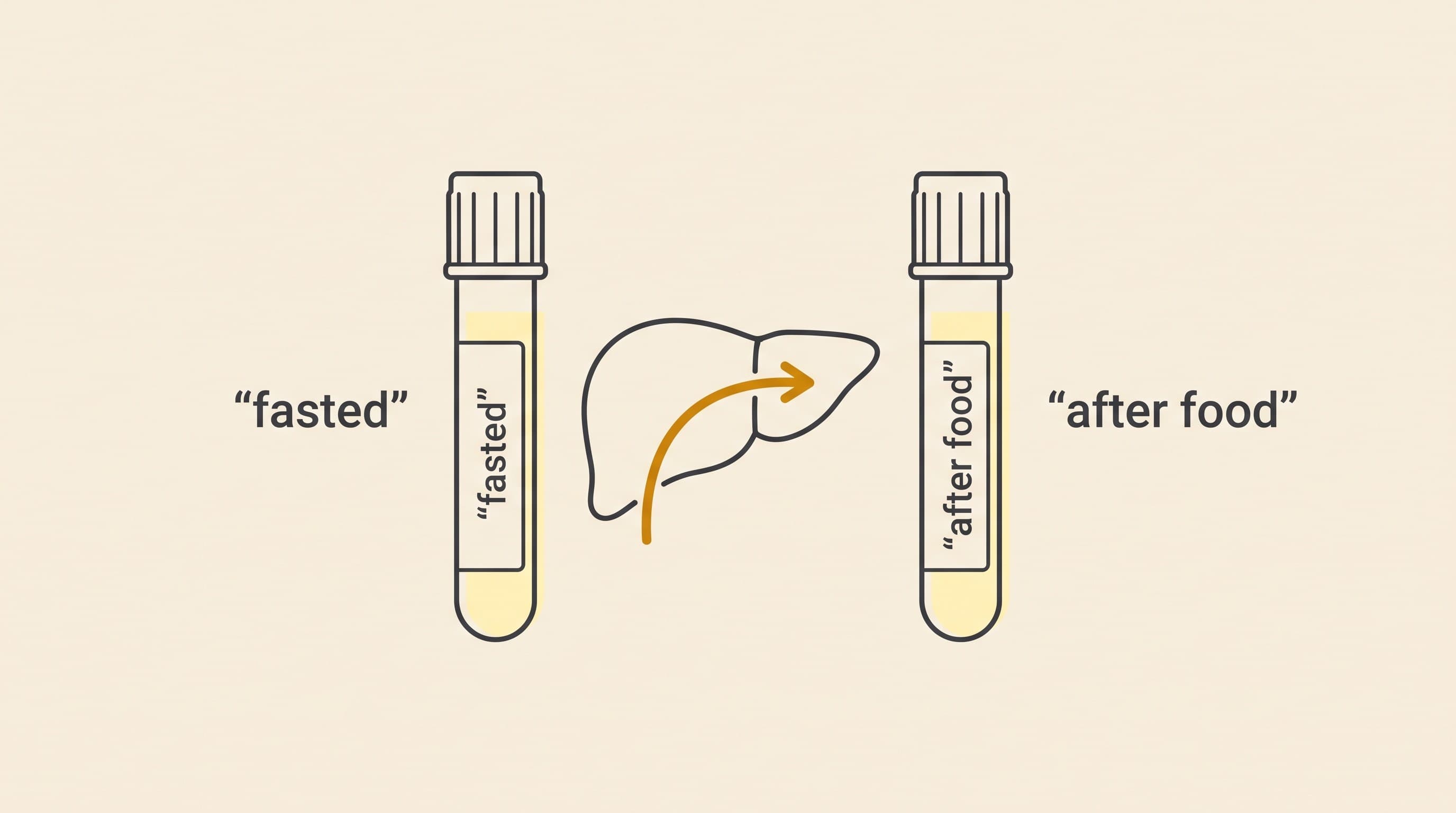 The Bile Acids Test, Explained