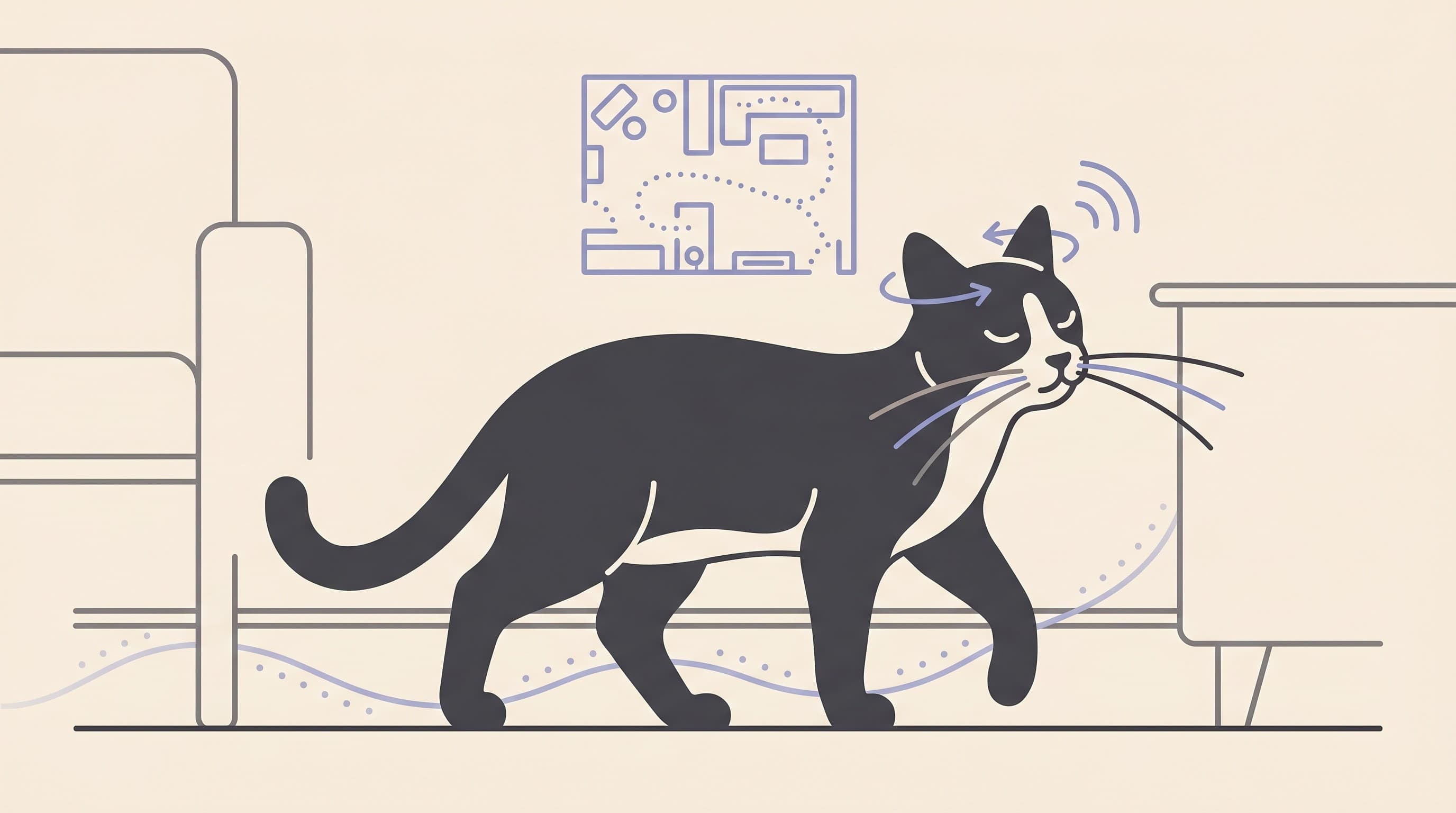 Blind Cats: Why They Often Cope Brilliantly