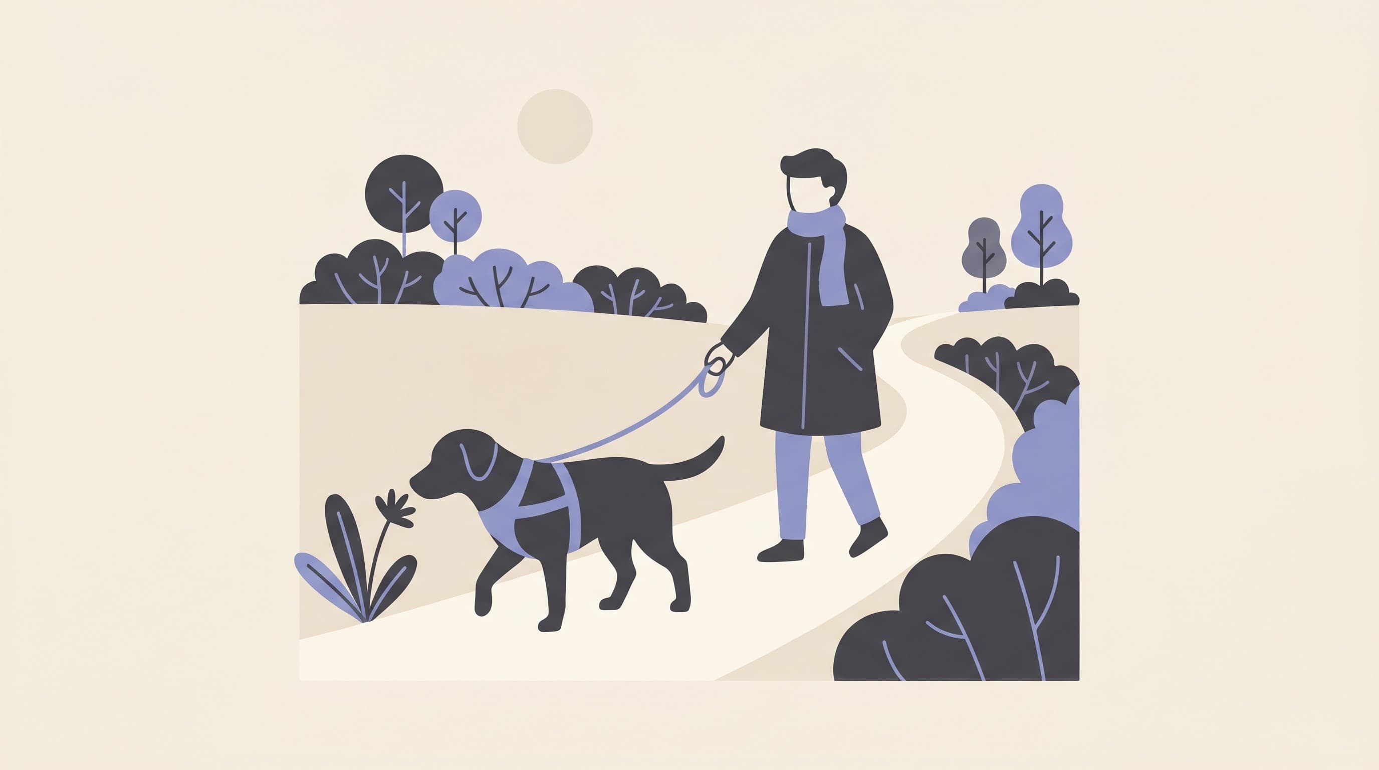 Out and About: Walks, Safety and Telling Other People