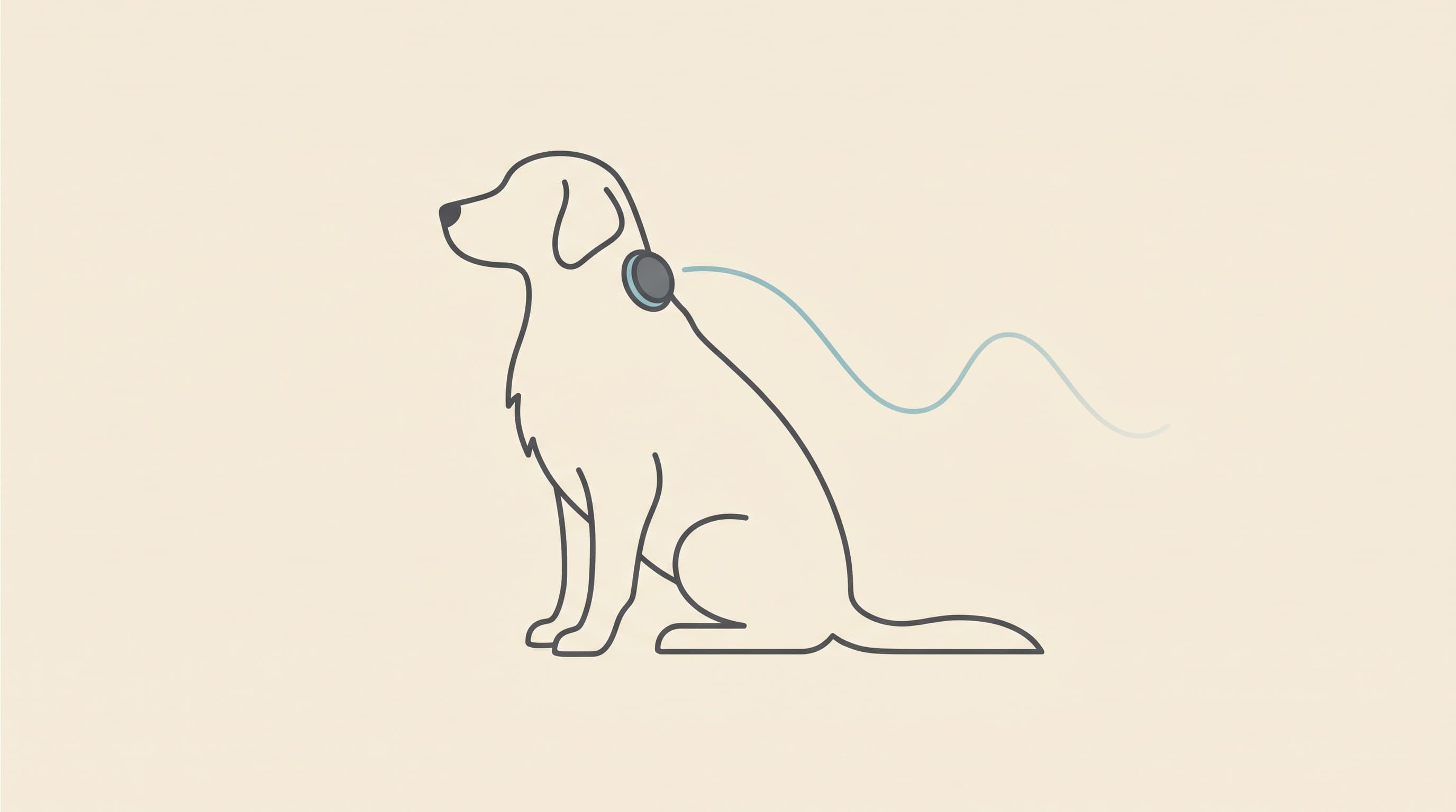Continuous Glucose Monitors (FreeStyle Libre) on Pets: The Game-Changer