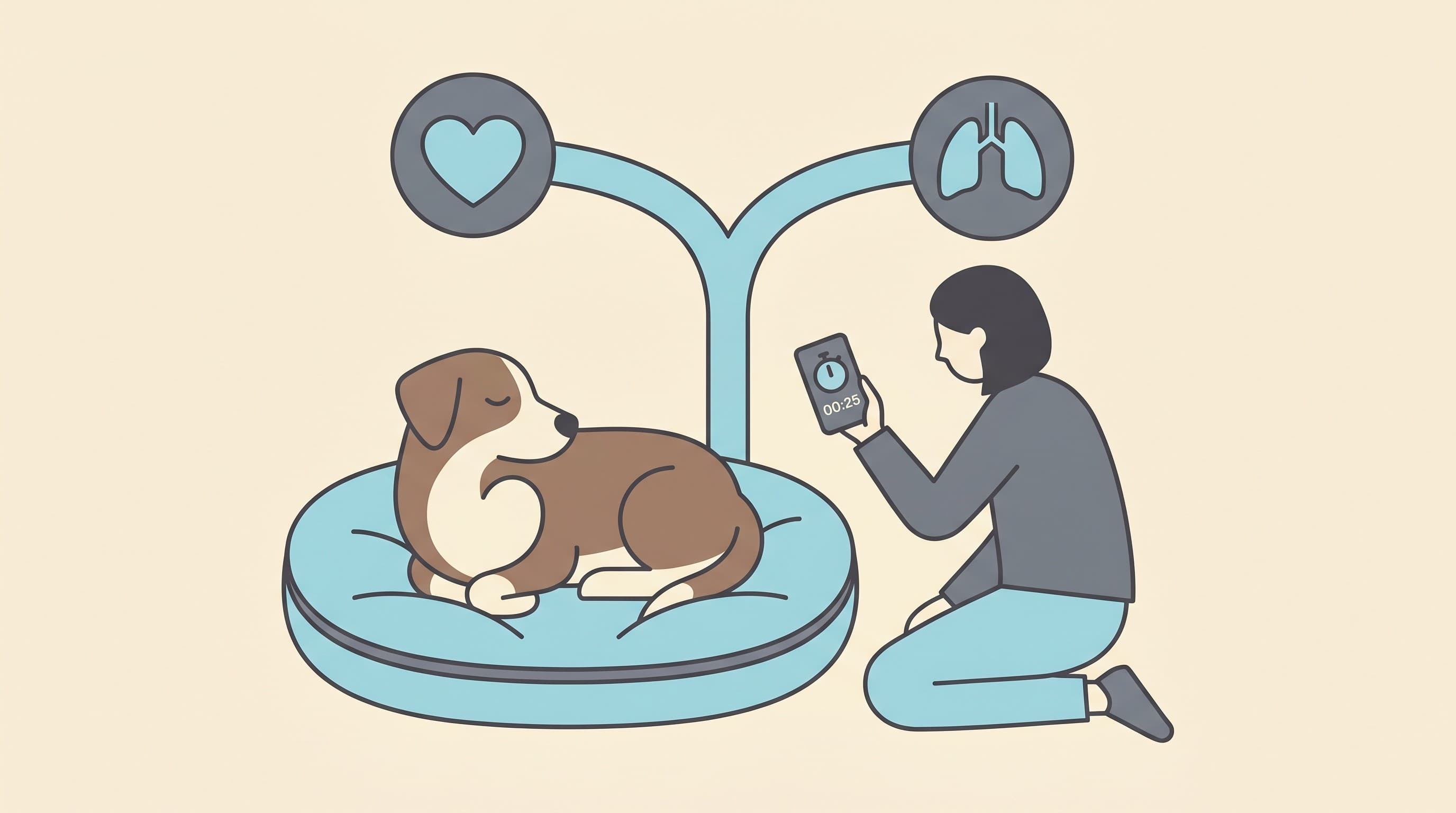 Why Is My Dog Coughing? Is It the Heart or the Lungs?