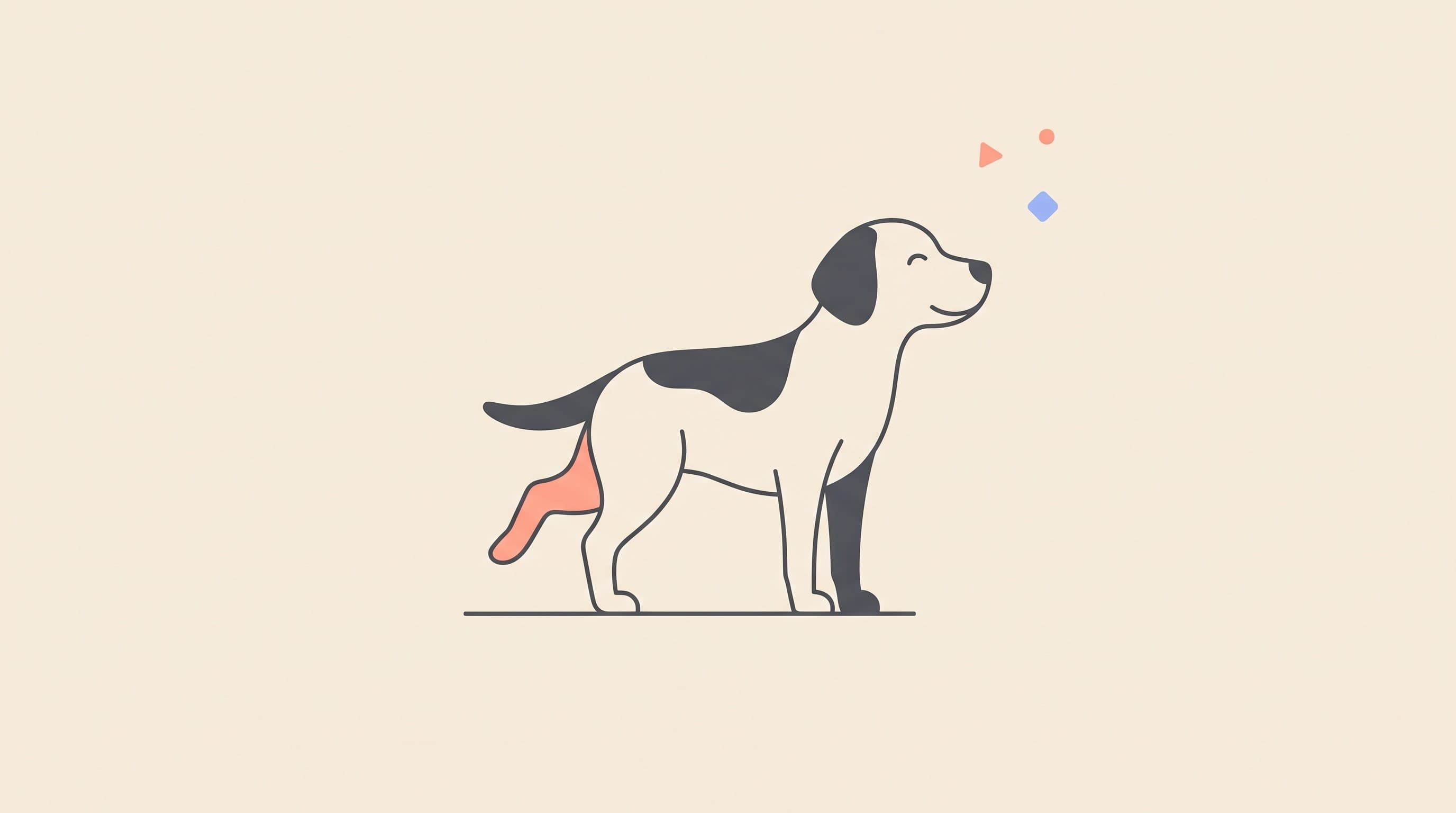 Has My Dog Done Its Cruciate? Signs and Symptoms