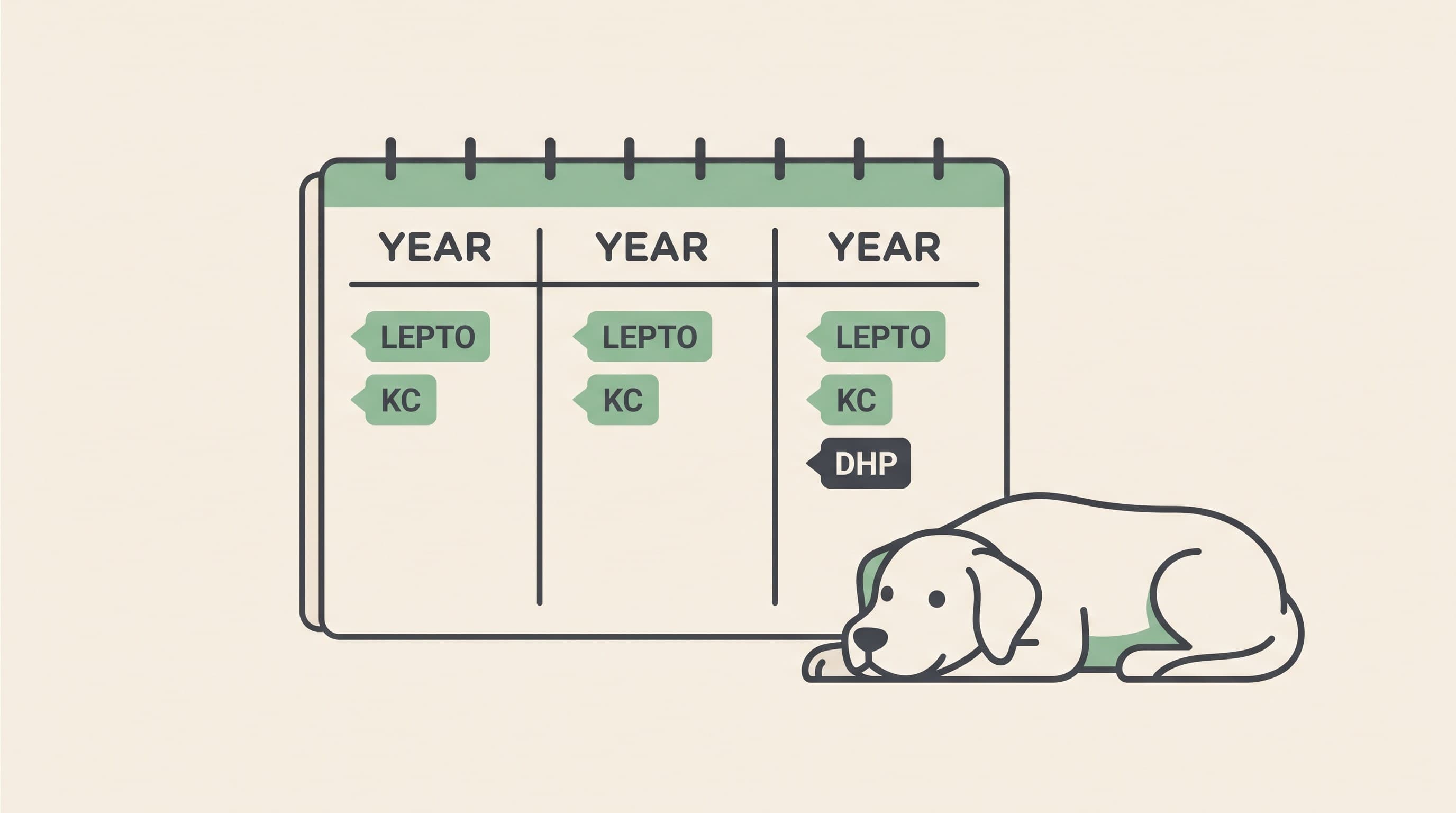 Do Dogs Really Need a Booster Every Year?