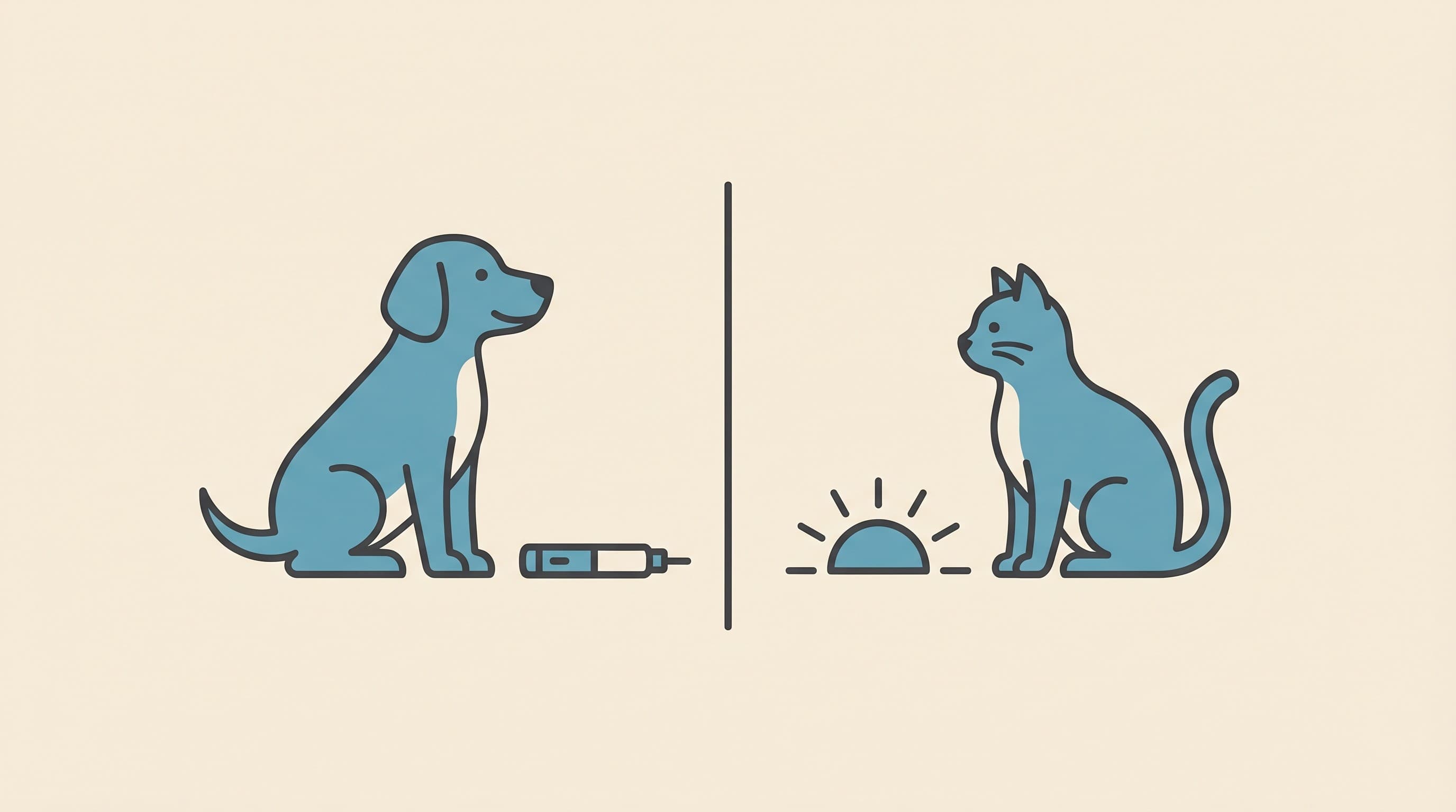 Diabetes in Dogs and Cats: The Same Word, Two Different Diseases