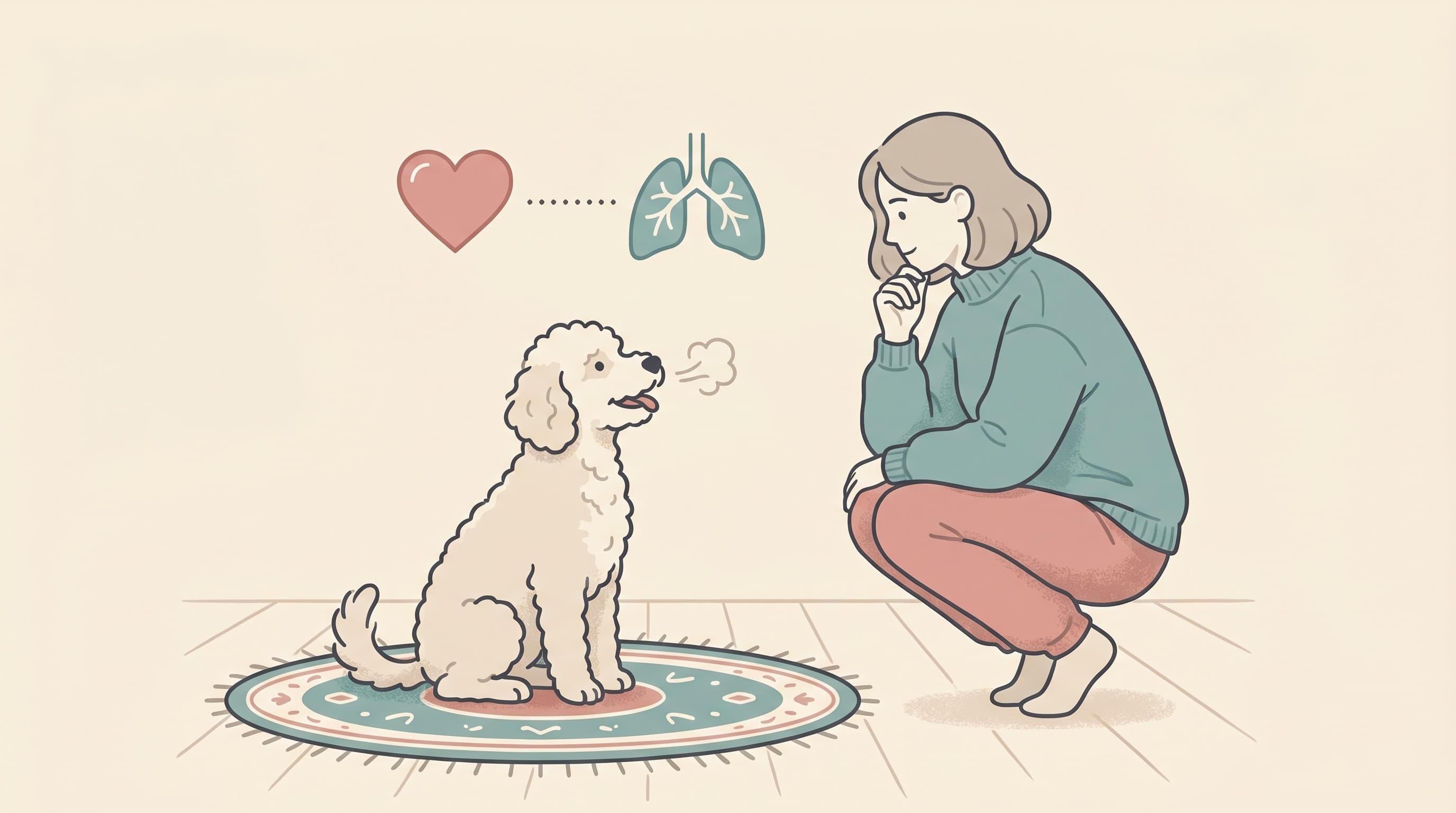 Is It a Heart Cough or an Airway Cough?