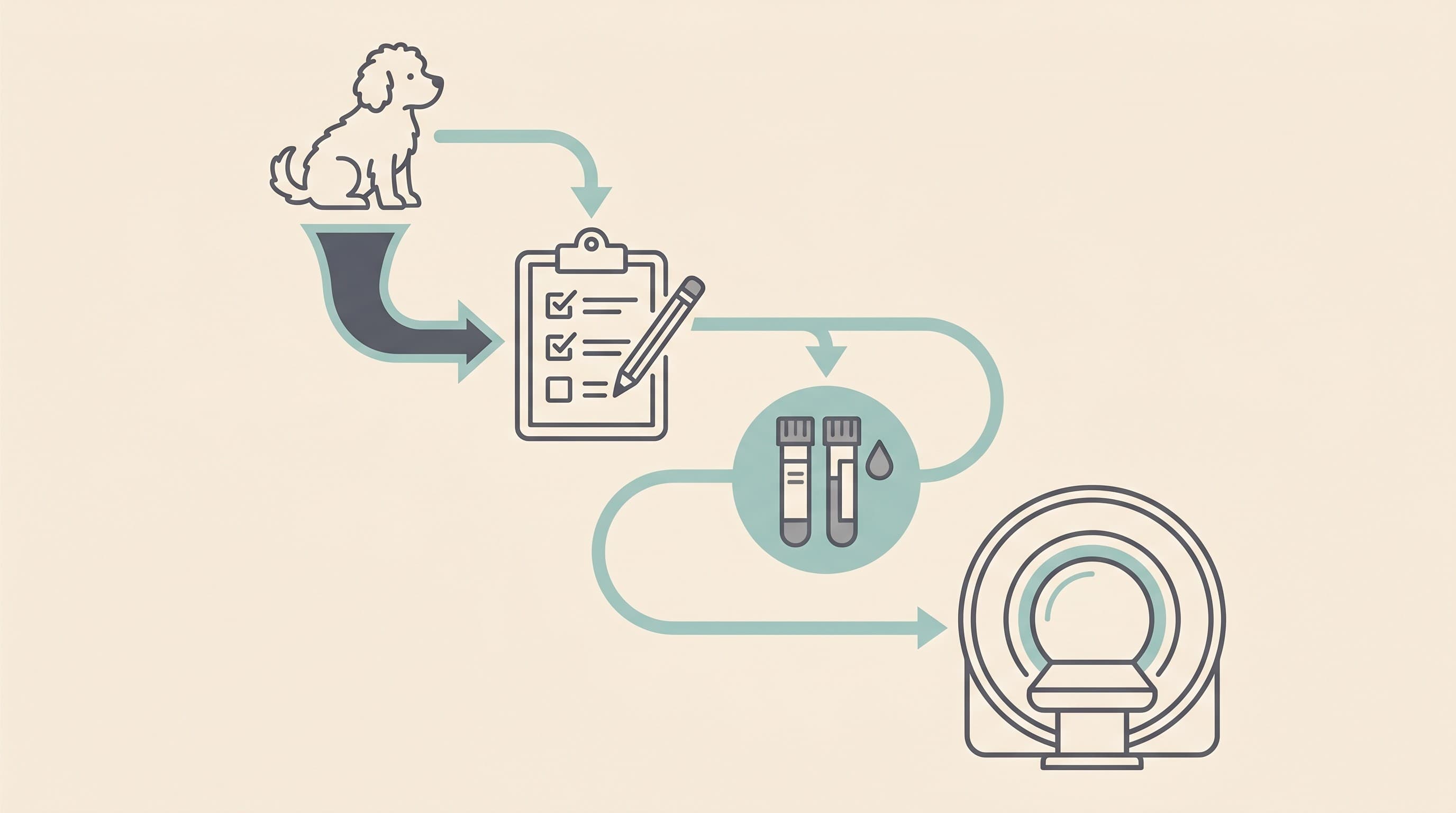 The Diagnostic Workup: Bloods, MRI, CSF and What It Costs