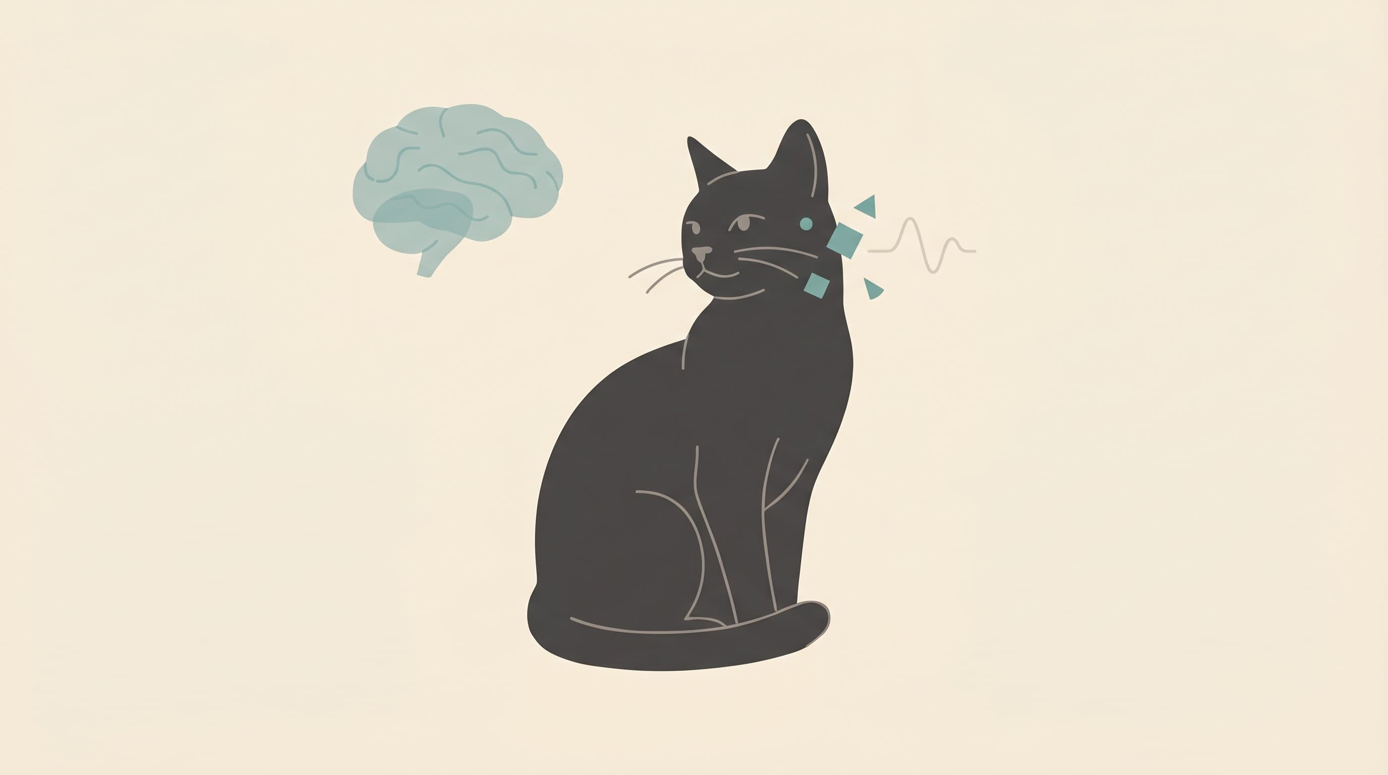What Seizures Look Like in Cats