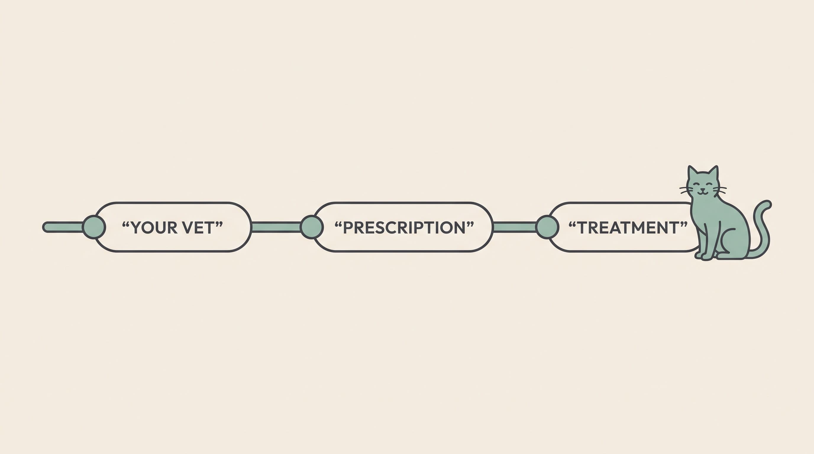 FIP is treatable now: the legal UK route via your vet and Bova