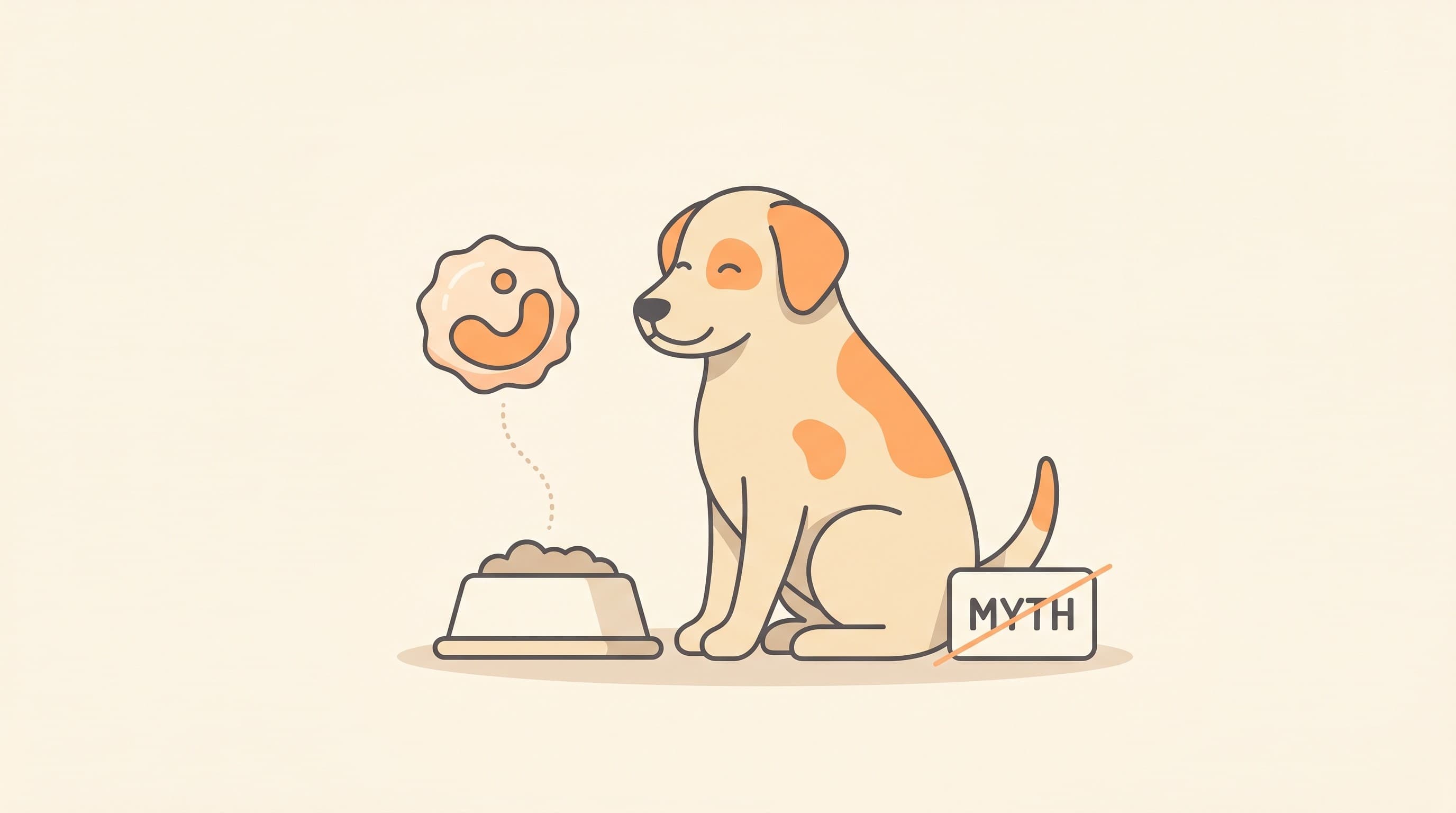 Food allergies in pets: what they are, and what they are not