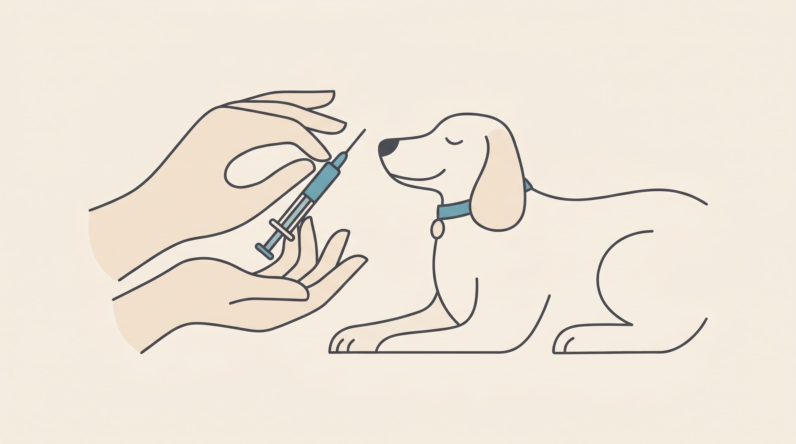 Your First Insulin Injection: How To Do It Without Fear