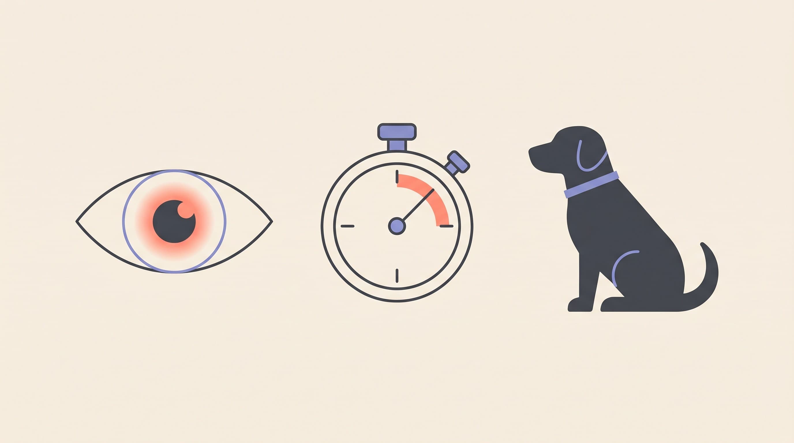 Glaucoma in Dogs: The Painful Emergency Owners Miss