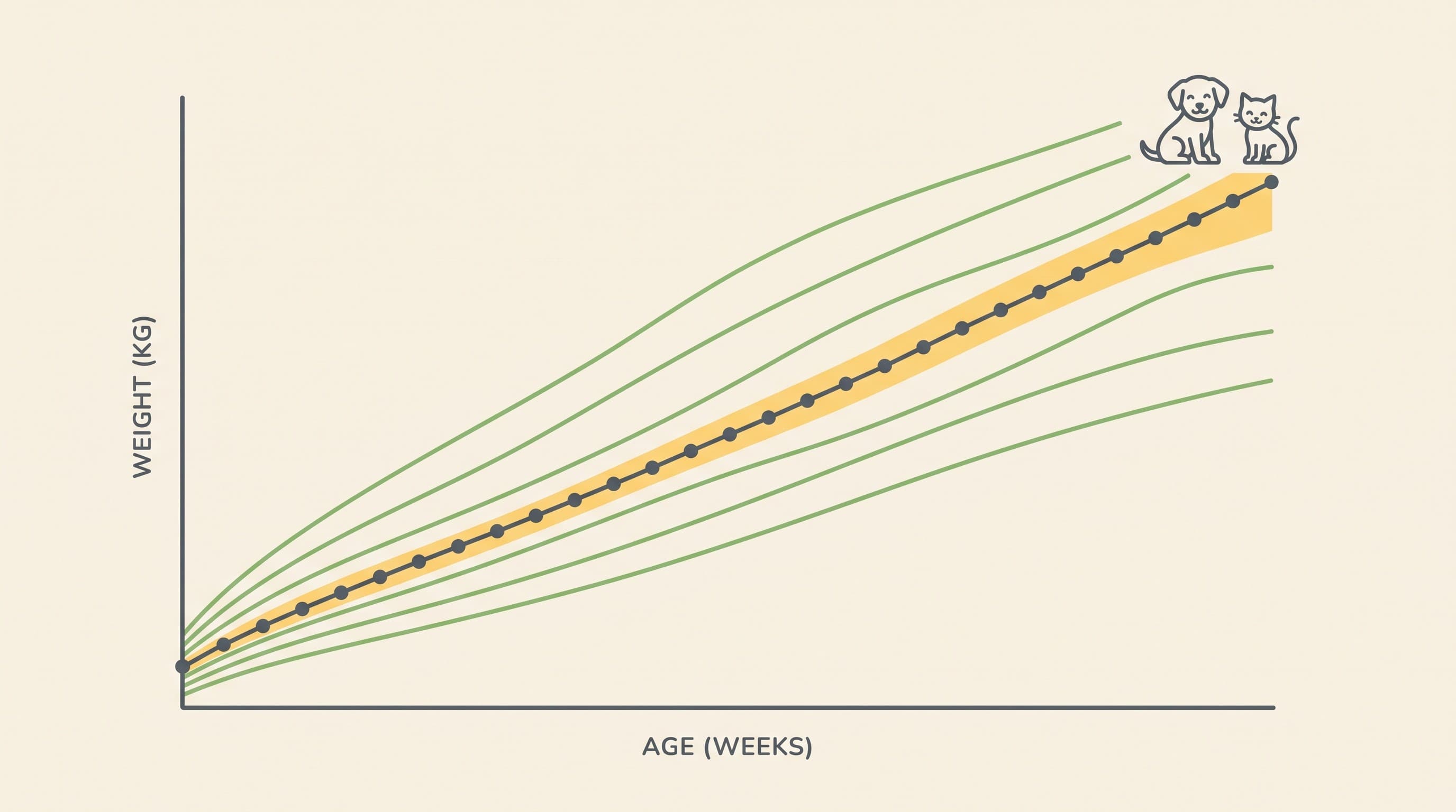 Growth charts and a healthy weight for young pets