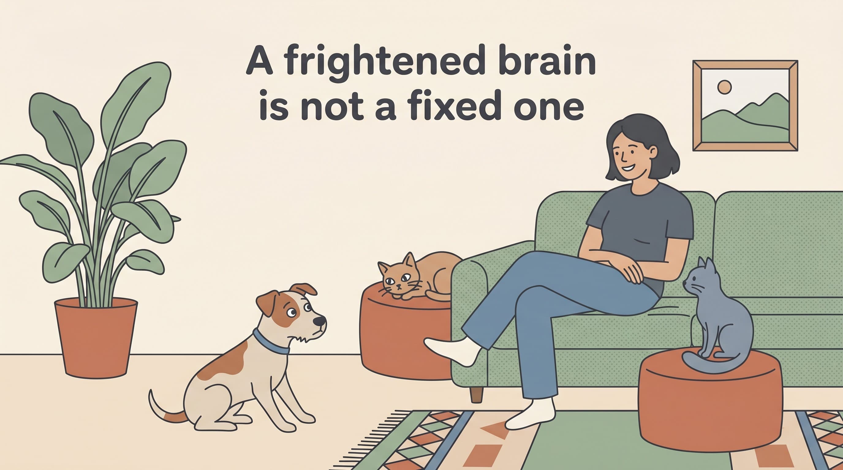 The fearful pet: helping an anxious dog or cat feel safe