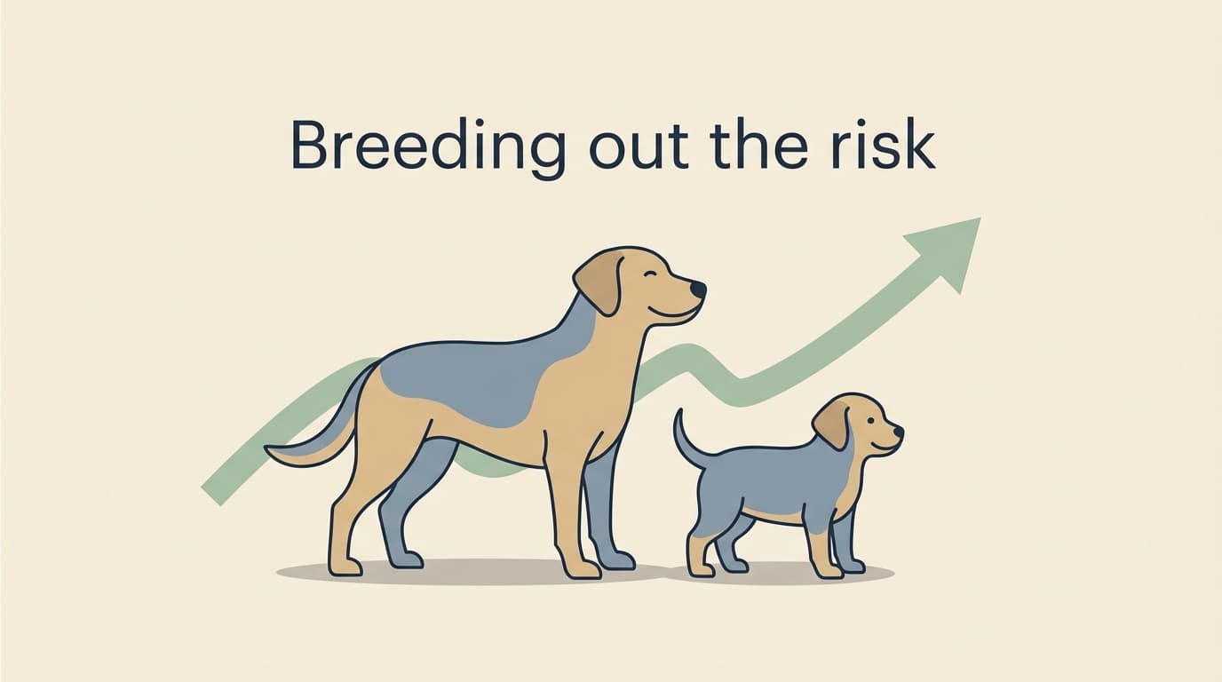 Breeding & the Genetics of IVDD
