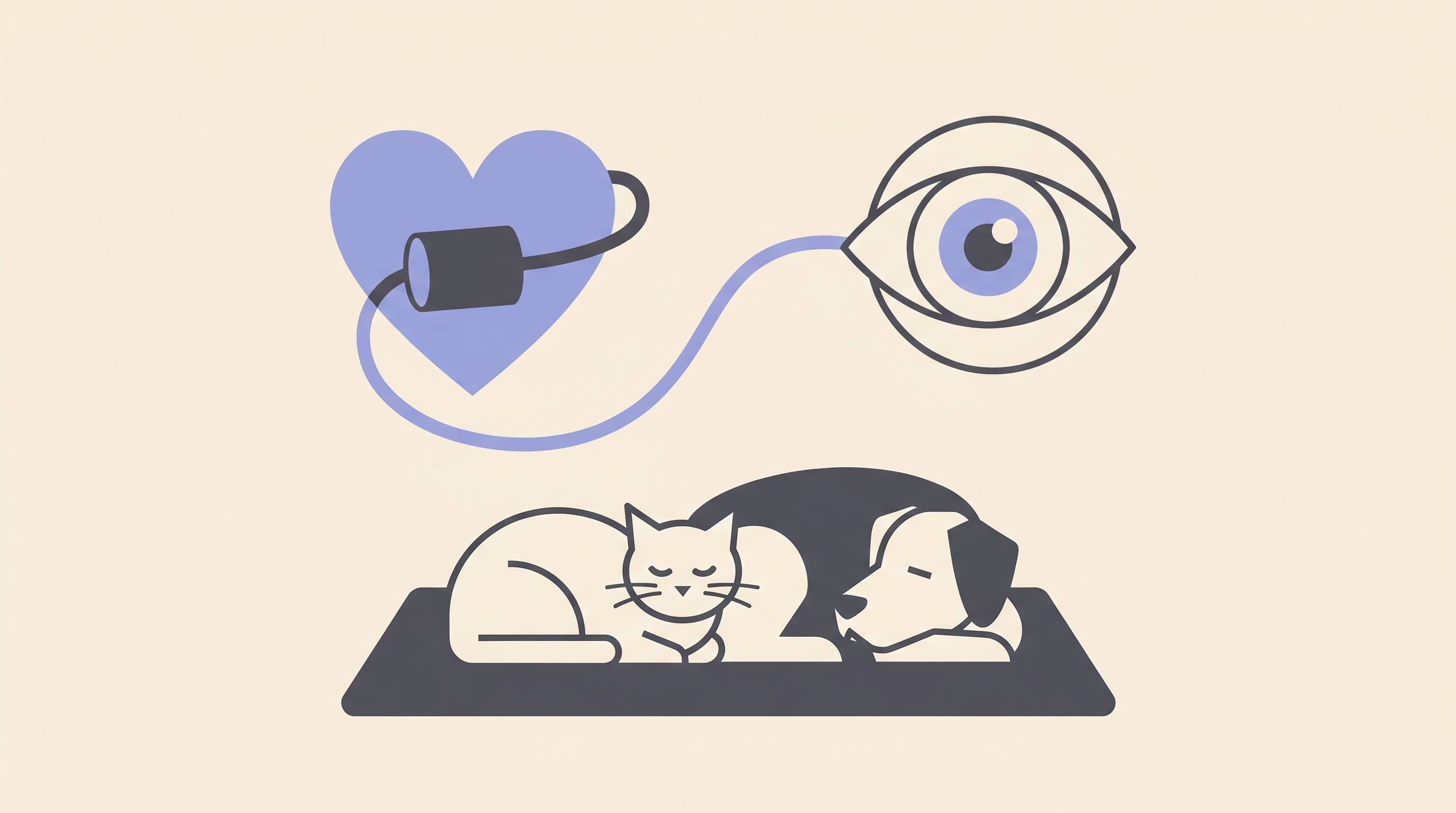 High Blood Pressure and Your Pet's Eyes: The Link Owners Miss
