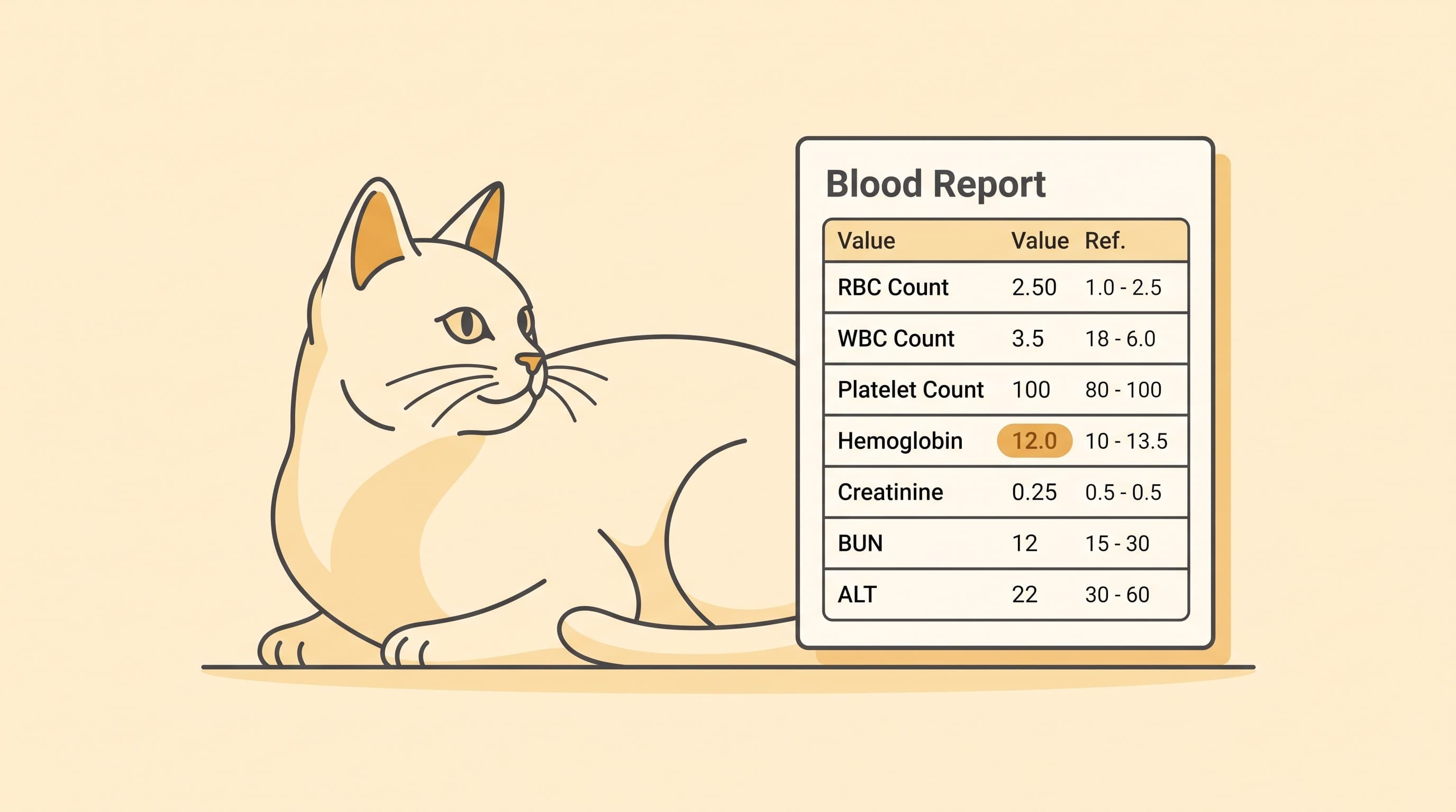 High Liver Values in Cats: Why It's a Different Conversation