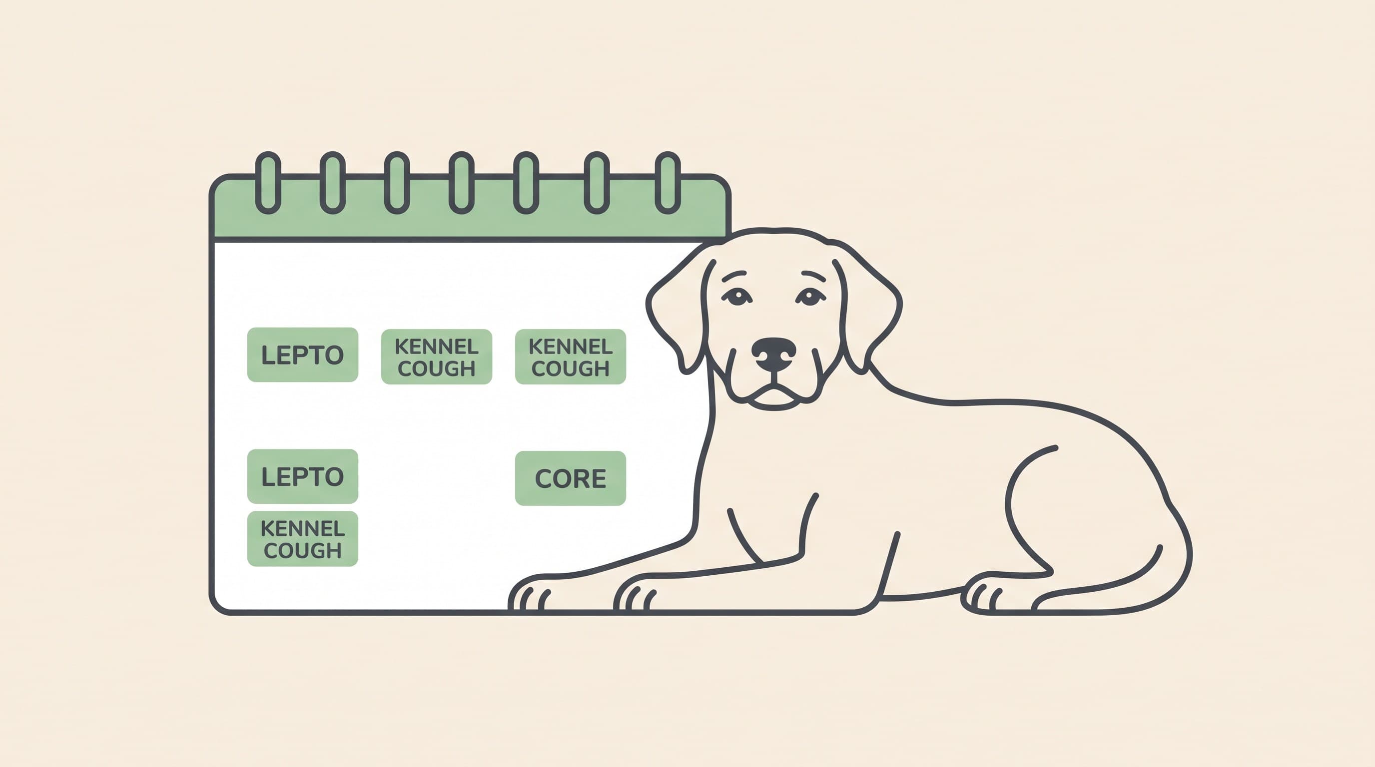 Kennel Cough and Leptospirosis: The Annual Ones