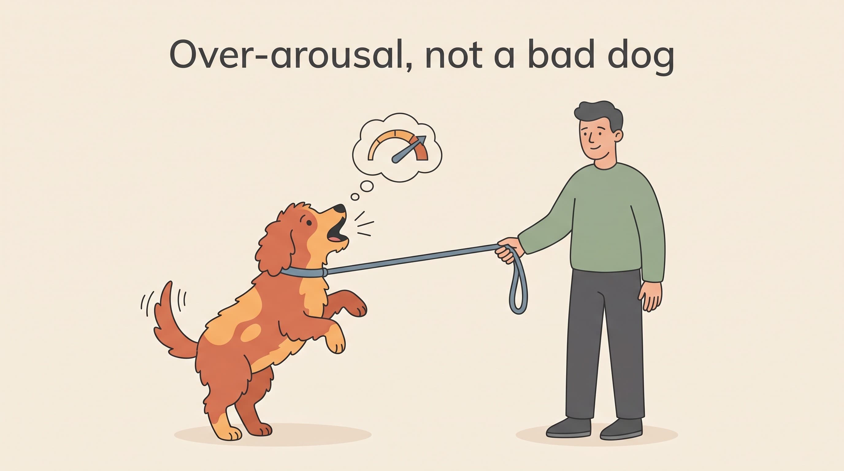 Lead reactivity: why your dog lunges and barks, and what it is not
