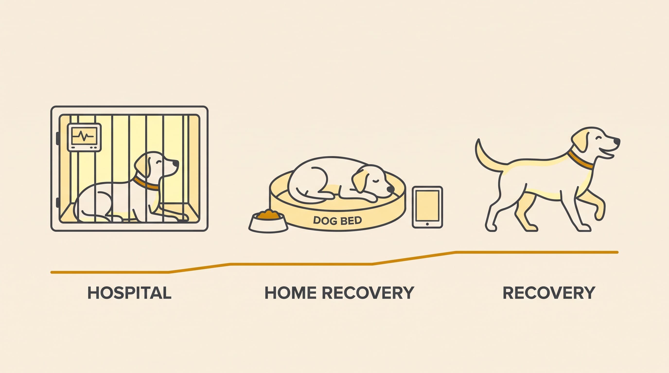 Life After Shunt Surgery: What Recovery Really Looks Like