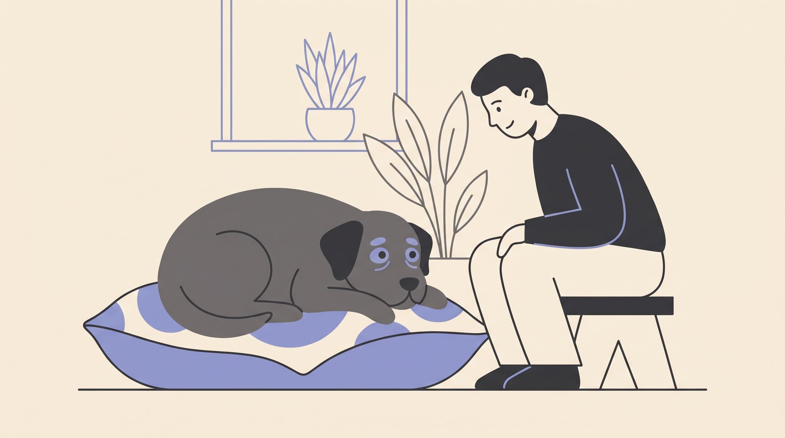 If You Don't Operate: Living With a Pet With Cataracts