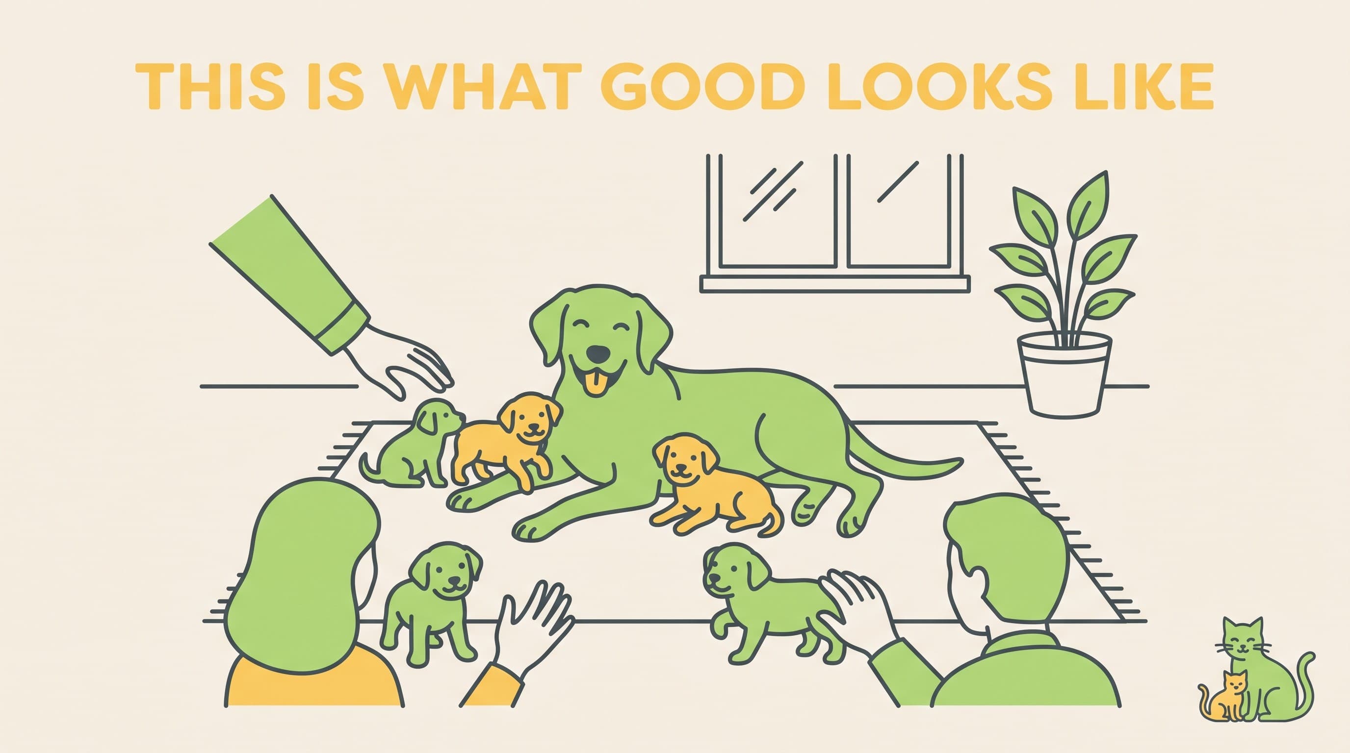 Buying safely: Lucy's Law and spotting a bad seller