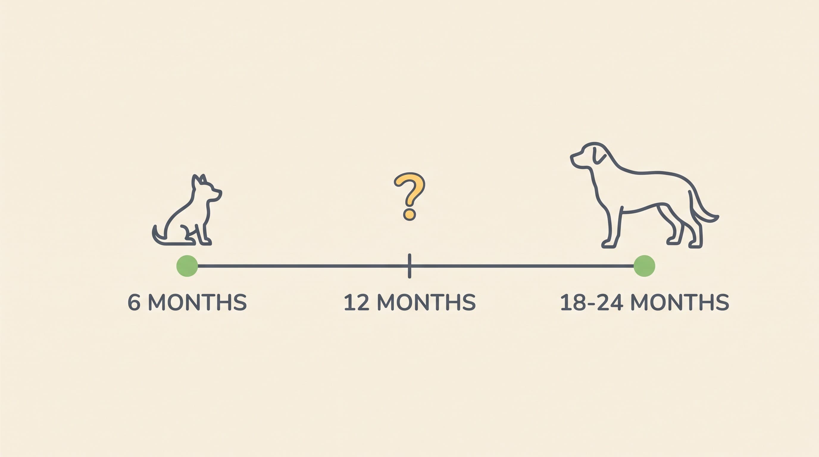 When to neuter your dog: the breed and size evidence