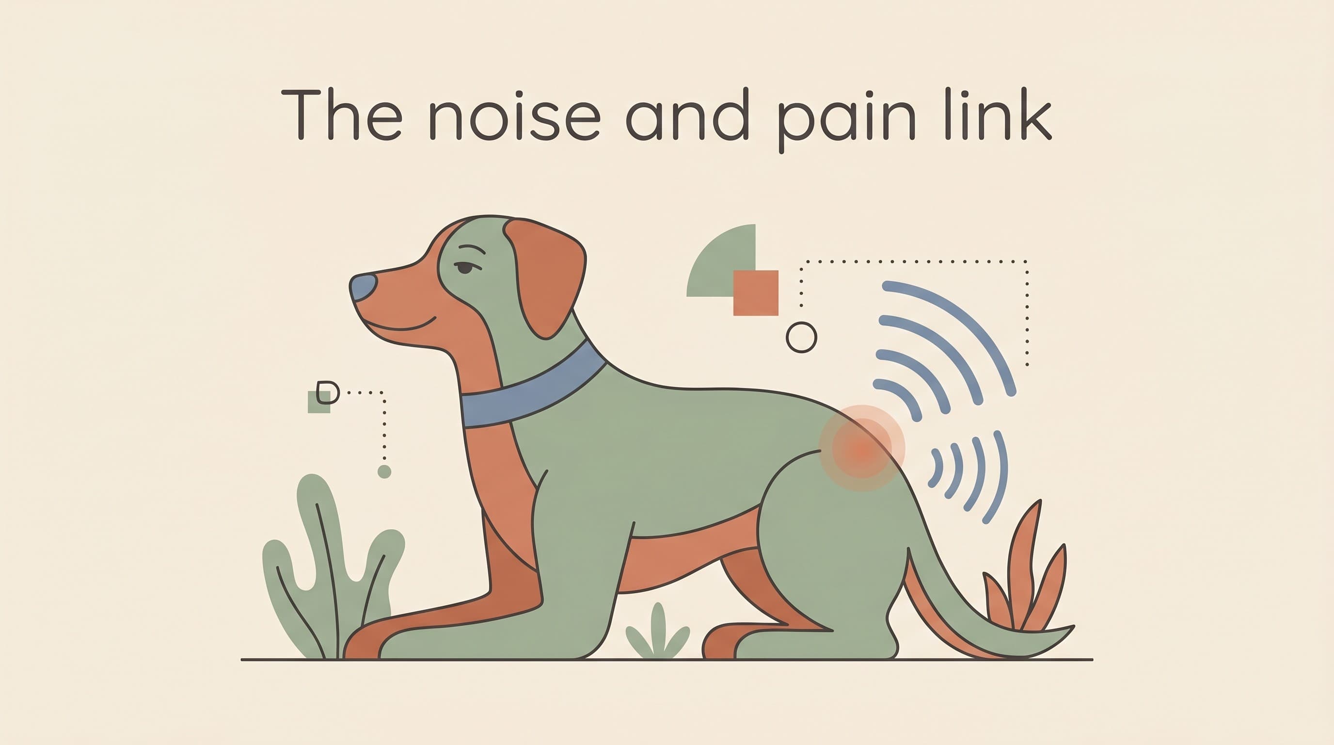 The hidden pain link: when noise fear is a sign of undiagnosed pain