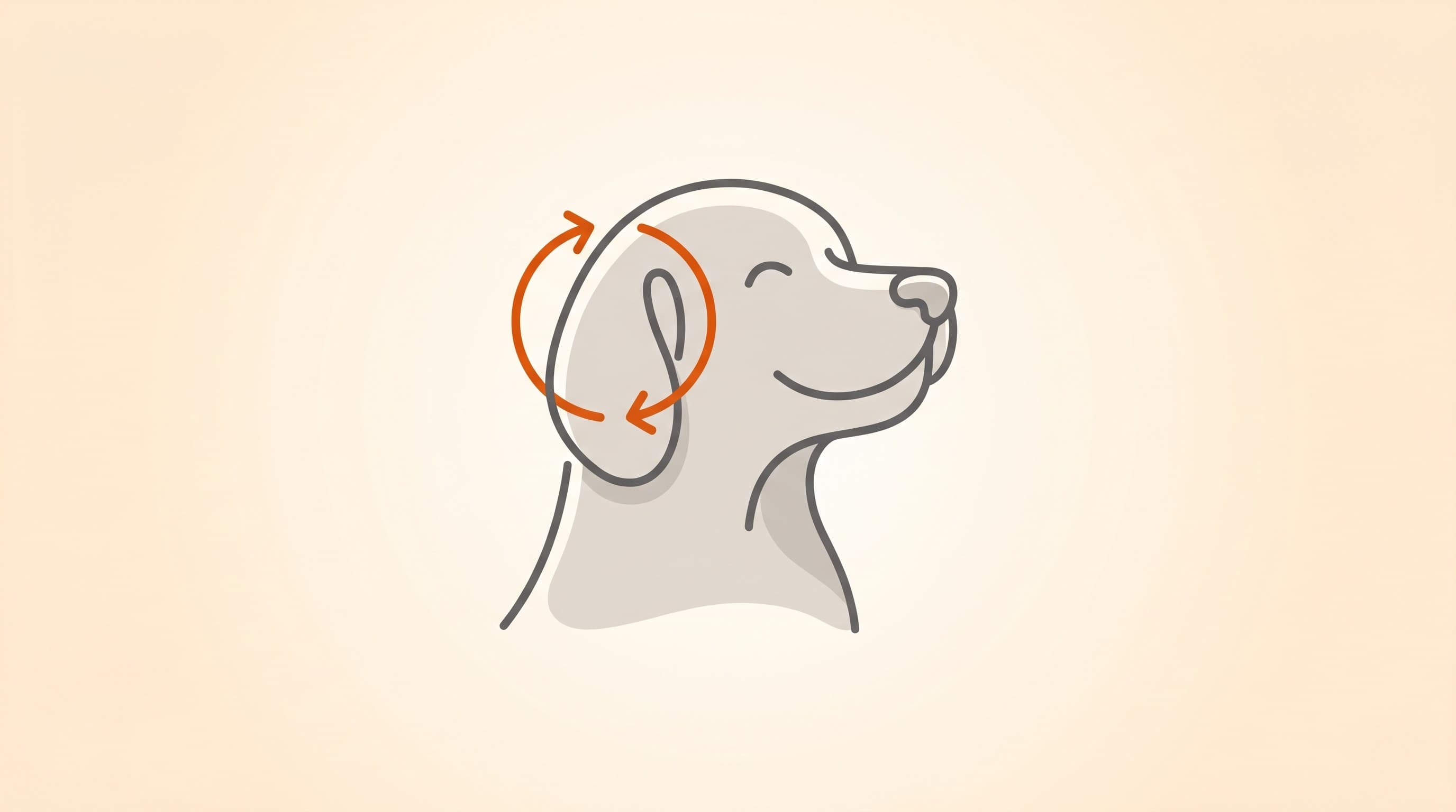 Recurrent ear infections: why they keep coming back