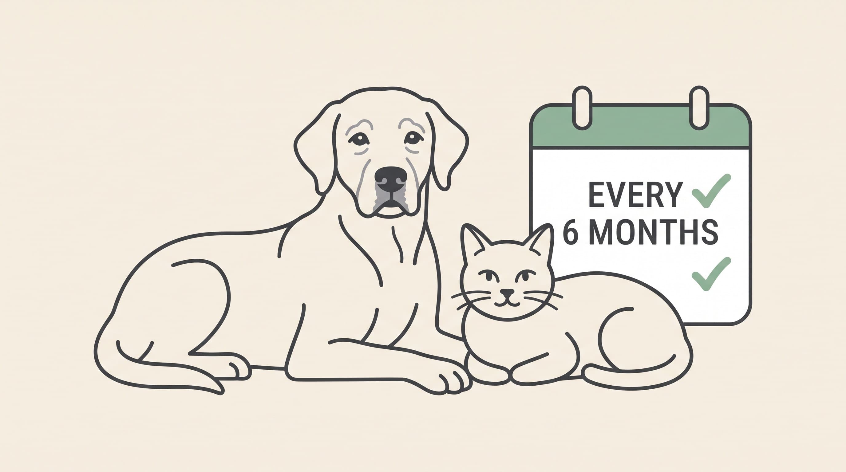When Once a Year Becomes Twice: Health Checks for Older Pets