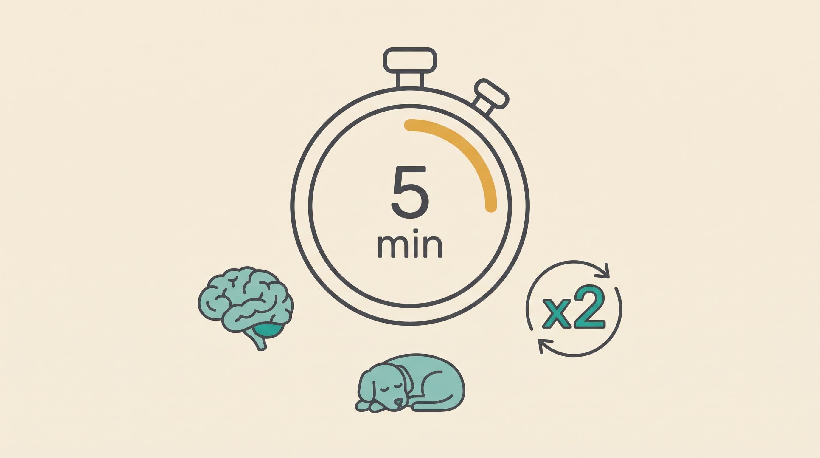 Is This an Emergency? Status Epilepticus and Cluster Seizures