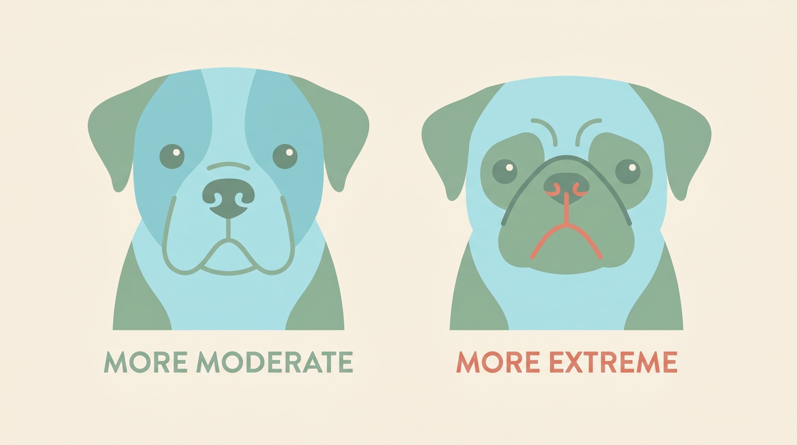 Thinking of Getting a Flat-Faced Dog? An Honest Guide