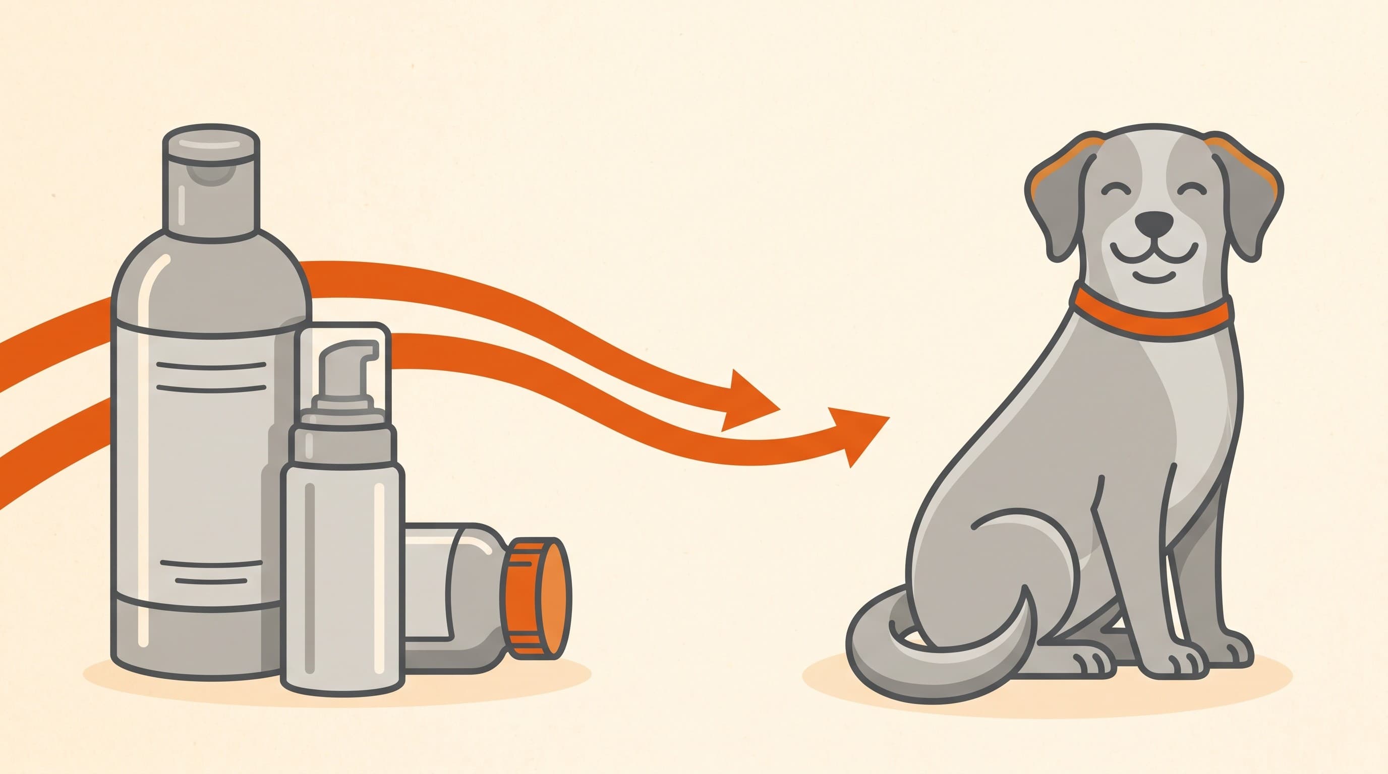 Treating the infection and finding the cause: why antibiotics alone are not the answer