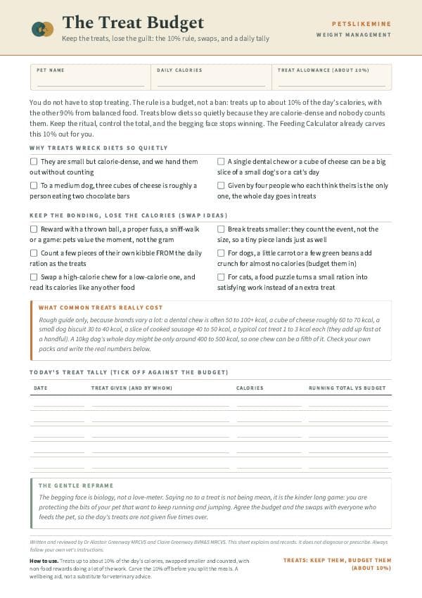 First-page preview of The Treat Budget