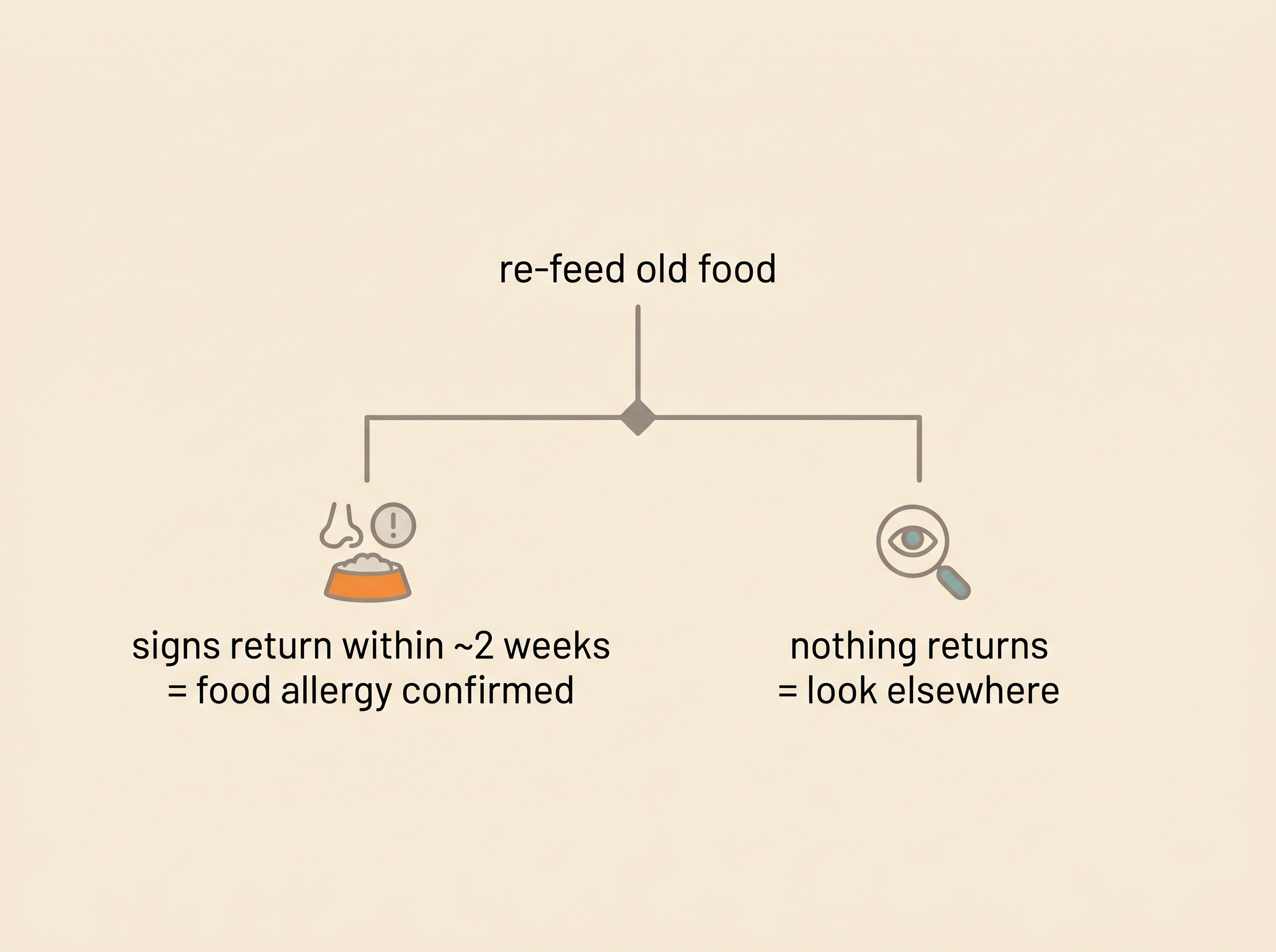 A decision tree: re-feed the original diet, then if signs return within about two weeks the food allergy is confirmed and you move on to finding the trigger, but if nothing returns the itch is coming from somewhere else