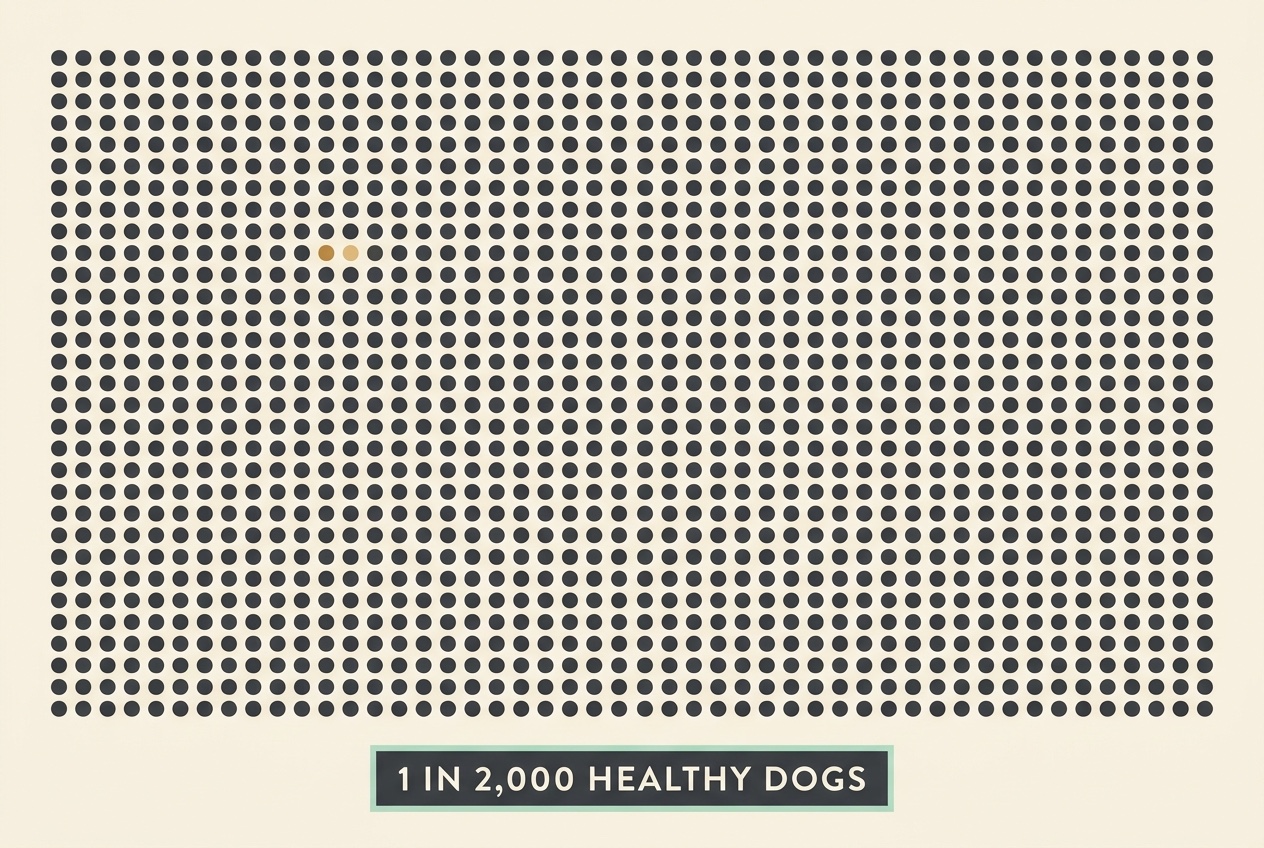 A grid of 2,000 small dots with a single dot picked out in a contrasting colour, captioned "1 in 2,000 healthy dogs", flat vector on cream with a mint accent.