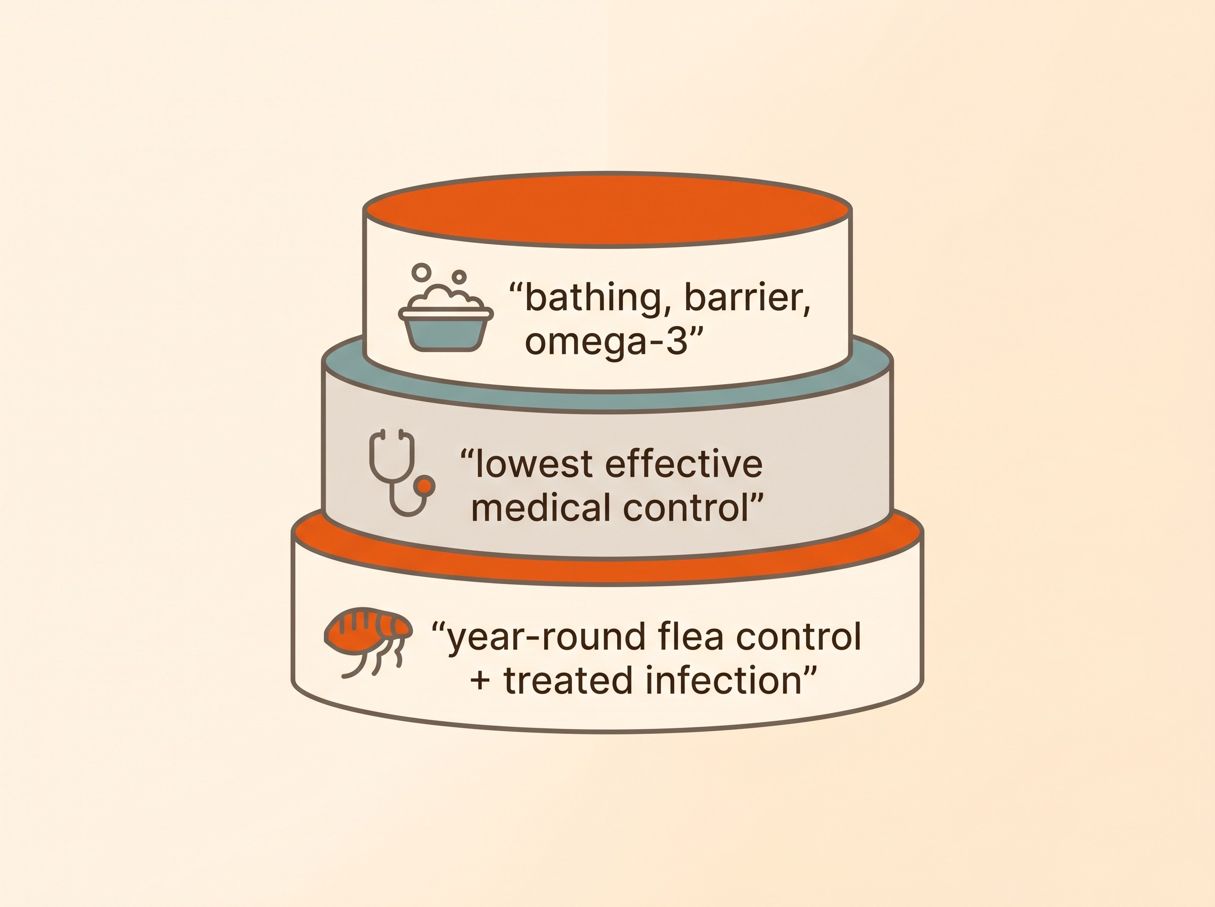 The maintenance layers of an atopy plan: a foundation of year-round flea control and treated infection, then the lowest effective medical control, then bathing, barrier care and omega-3