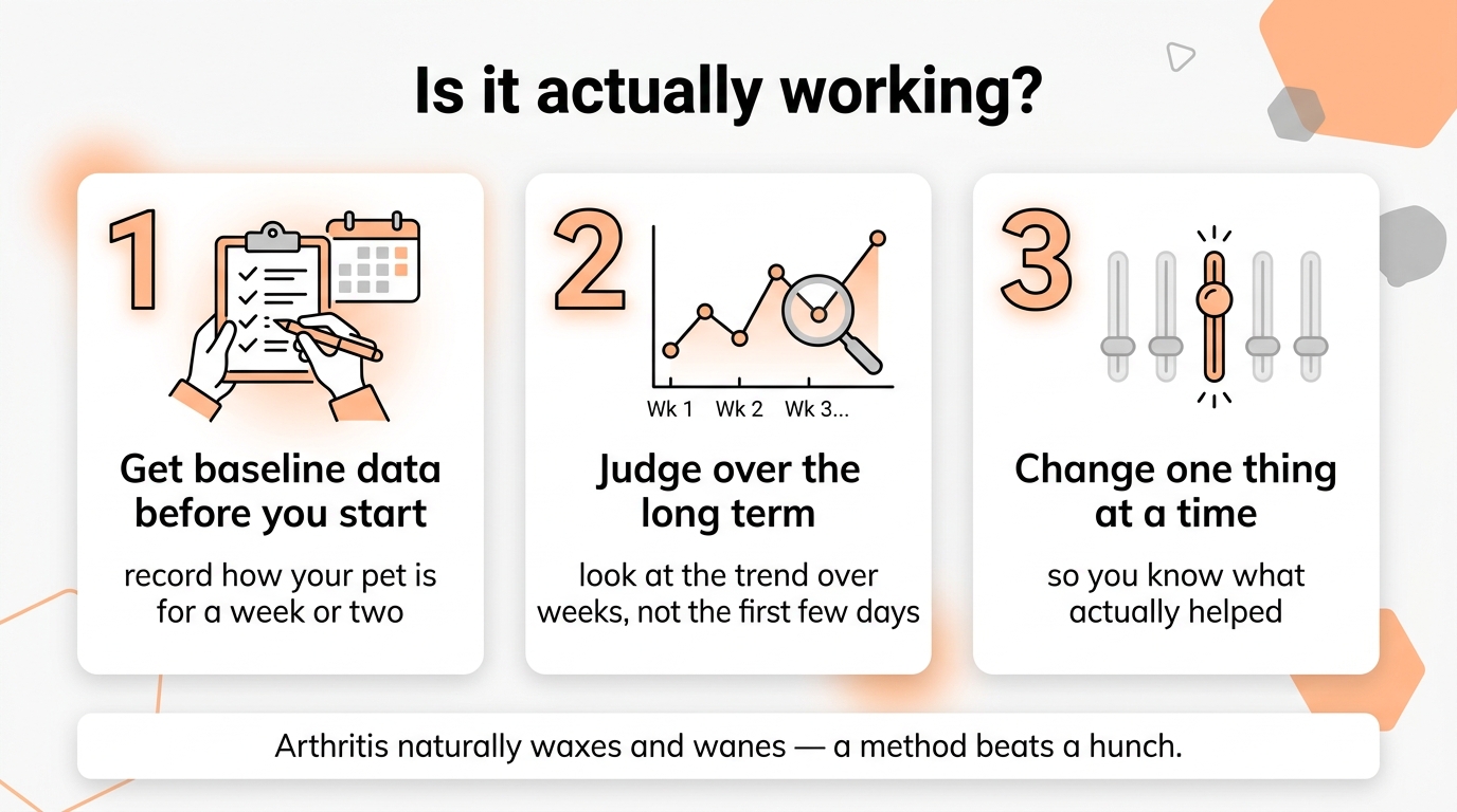 A clean three-step infographic titled Is it actually working, with step 1 get baseline data before you start, step 2 judge over the long term not the first few days, and step 3 change one thing at a time, plus a note that arthritis naturally waxes and wanes