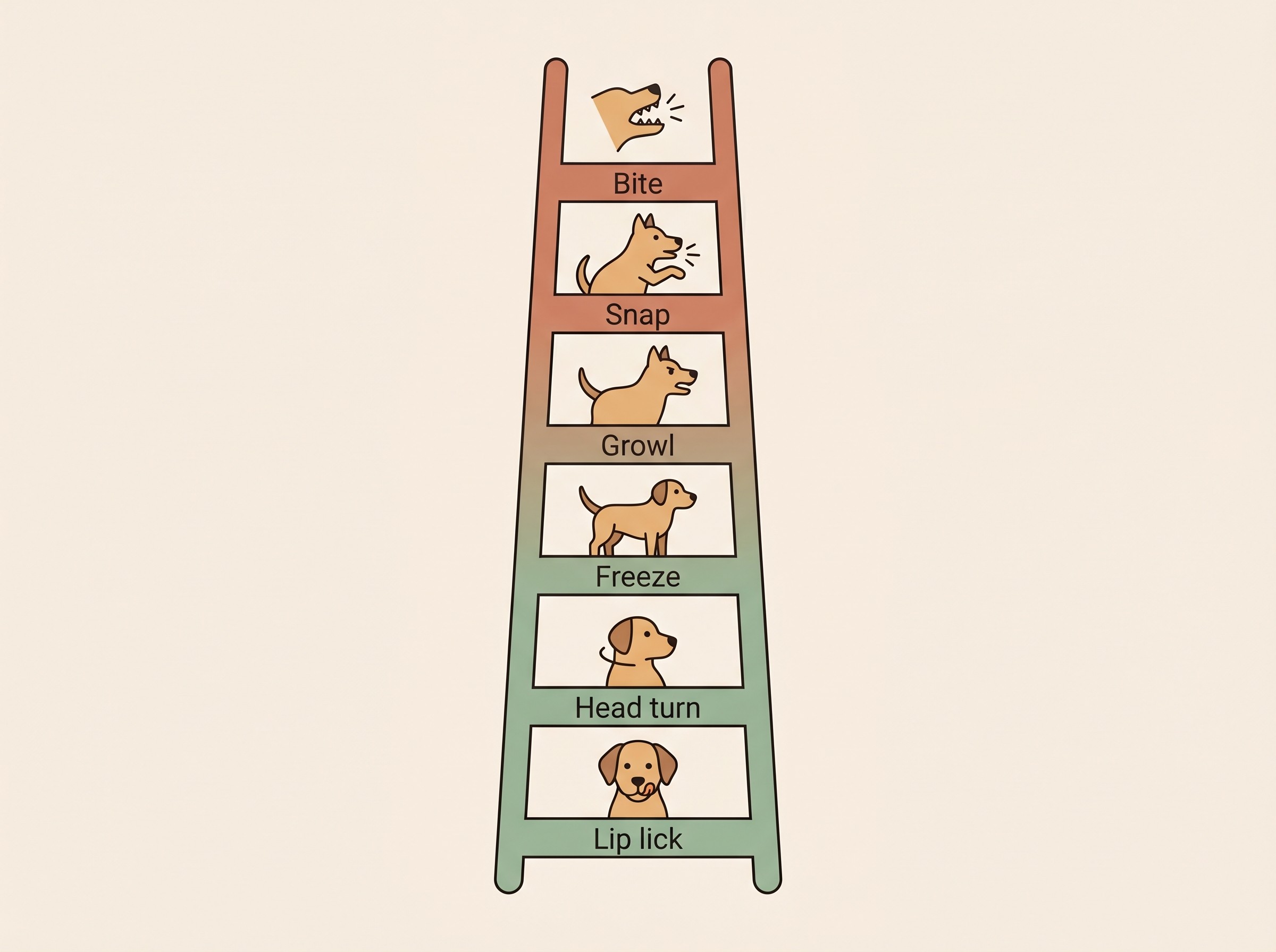 A simple ladder showing a dog's escalating warning signals from a lip-lick and head-turn up to a growl, snap and bite