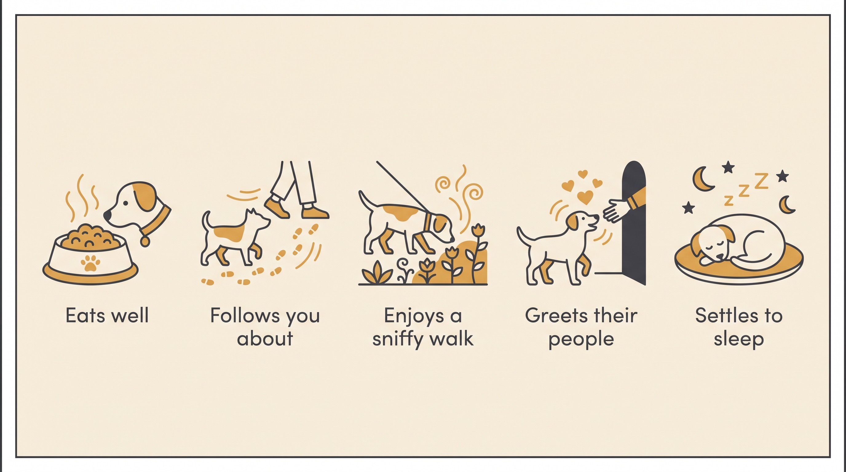 Flat line icons on cream showing the everyday markers of a good day for a blind pet: eating, following you about, a sniffy walk, greeting their people, settling to sleep, comfortable and pain-free