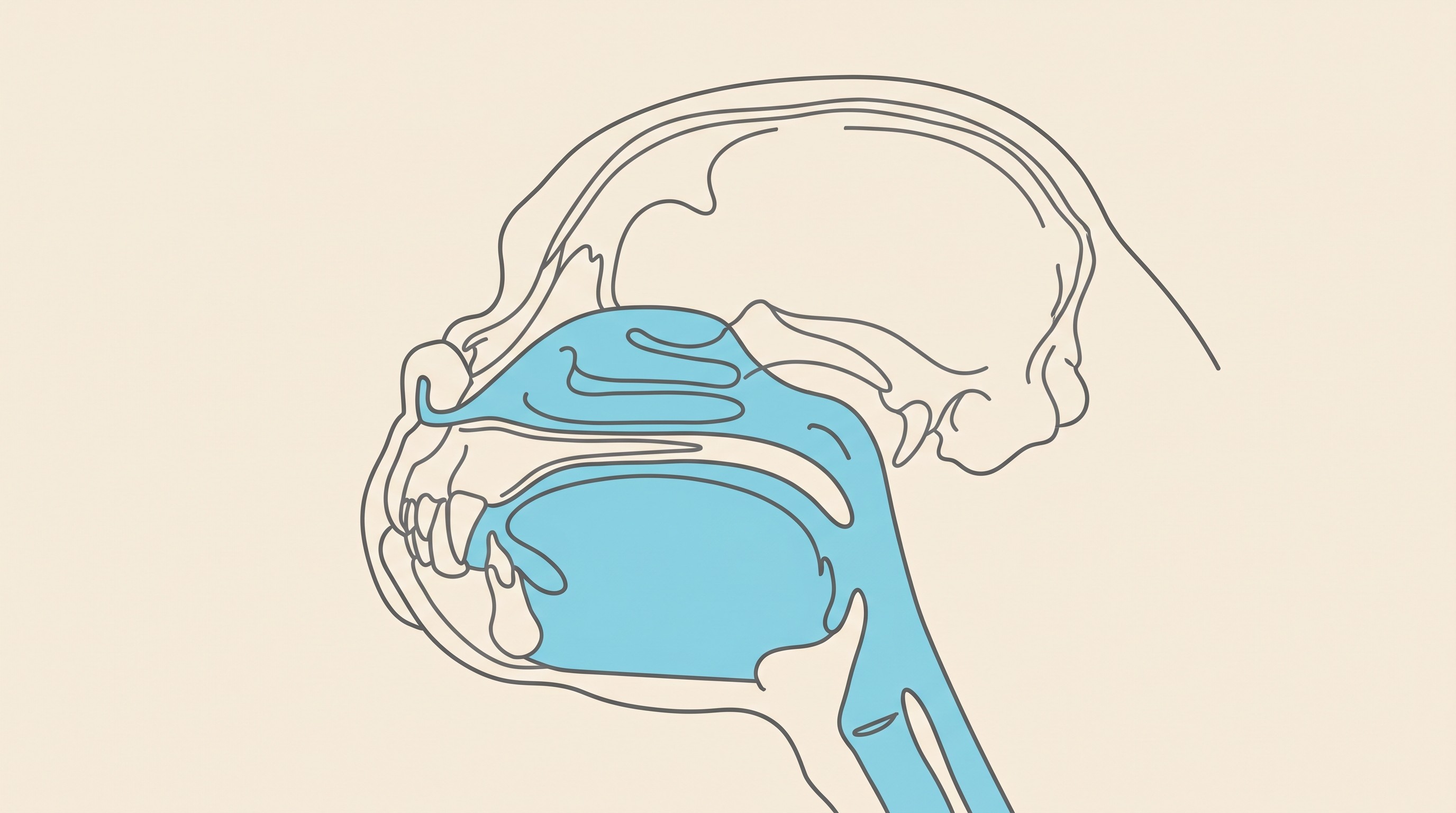 A cross-section diagram of a flat-faced dog's head in a warm flat-vector style on a cream background, showing the shortened skull and the soft tissue crowded inside it